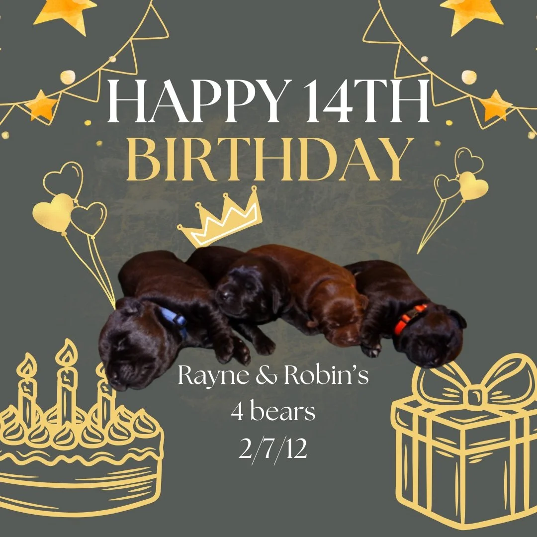 Remembering the 4 Bears on this special day at the #CaveInn.