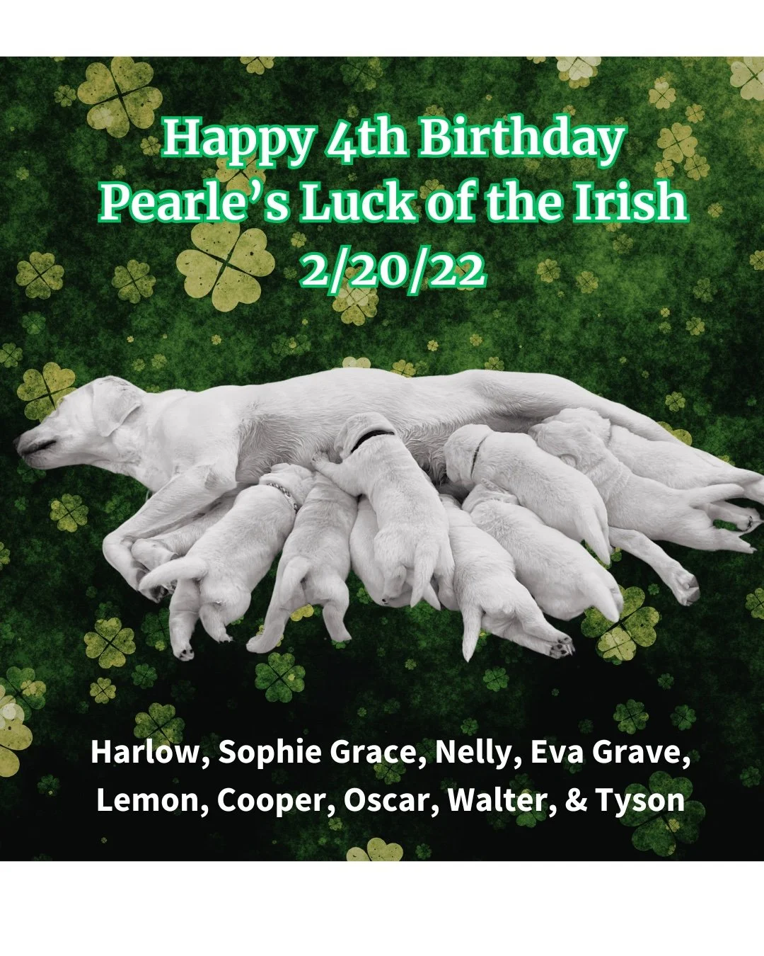 Happy 4th Birthday to the #LuckoftheIrish from the #CaveInn.