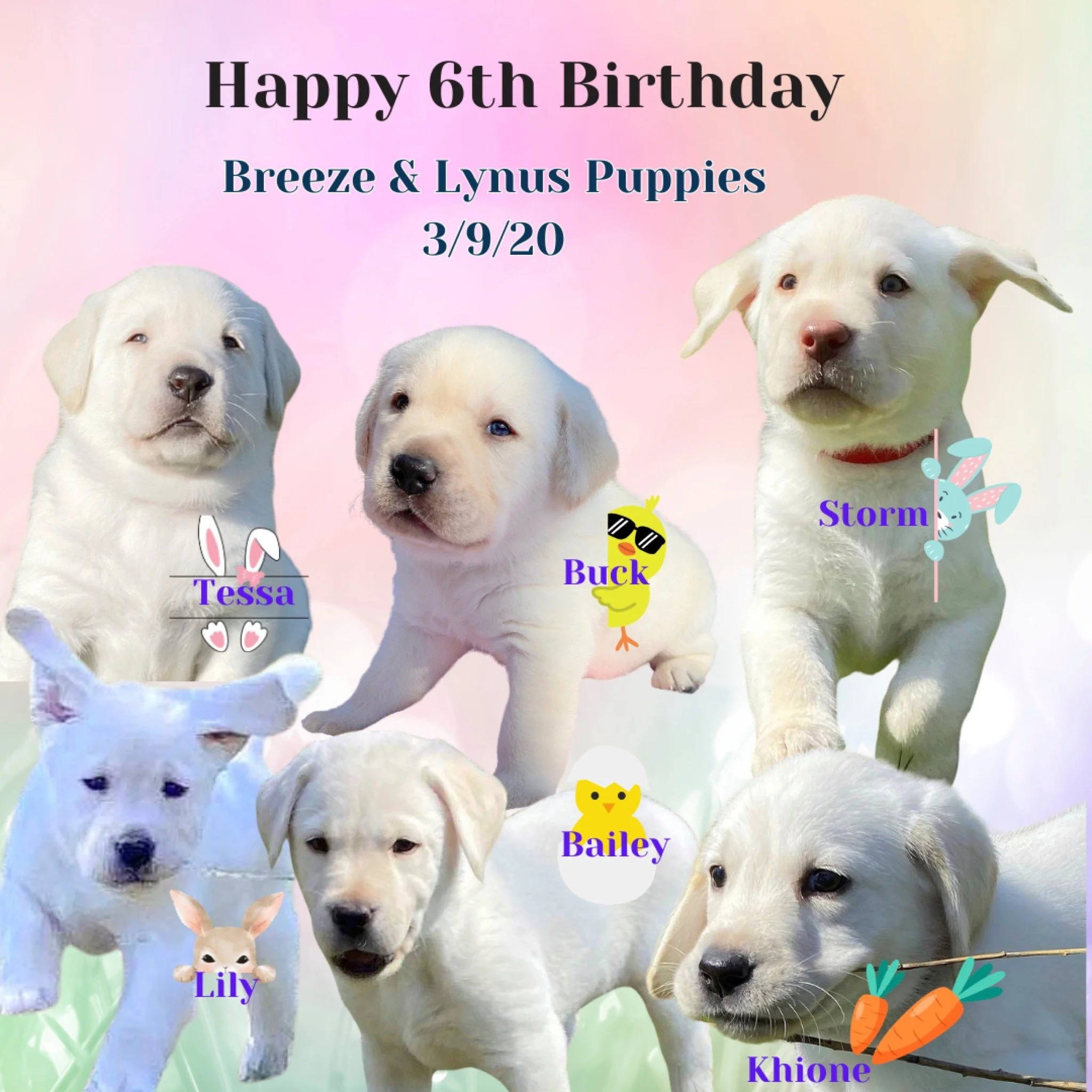 Oh Happy Happy 6th Birthday to Breeze kids!