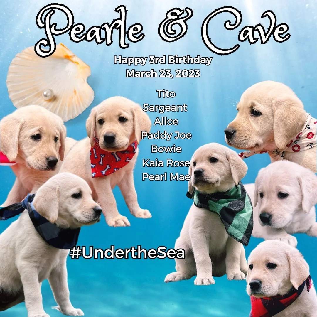 Pearle &amp; Cave's #UndertheSea kids are 3 today! Happy Birthday!