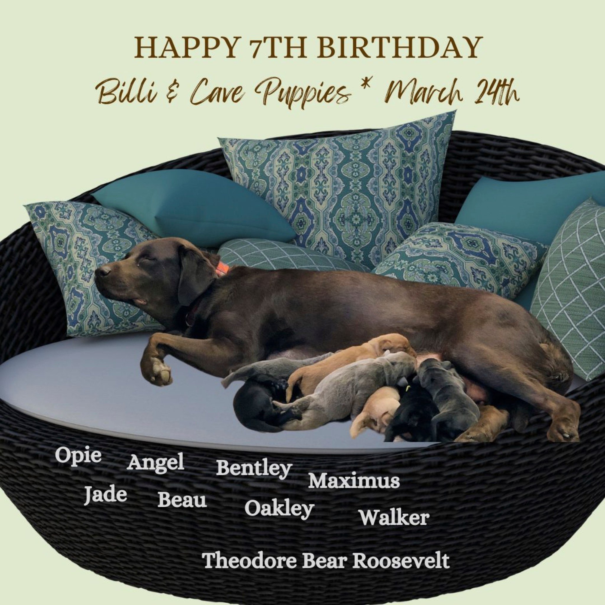 Miss Billi &amp; Cave's kids turn 7 today! Happy Birthday!!