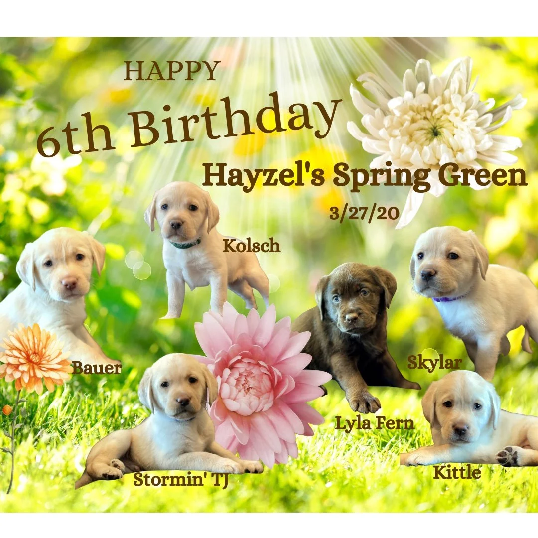 Hayzel's #SpringGreen kids celebrating 6th birthday today!