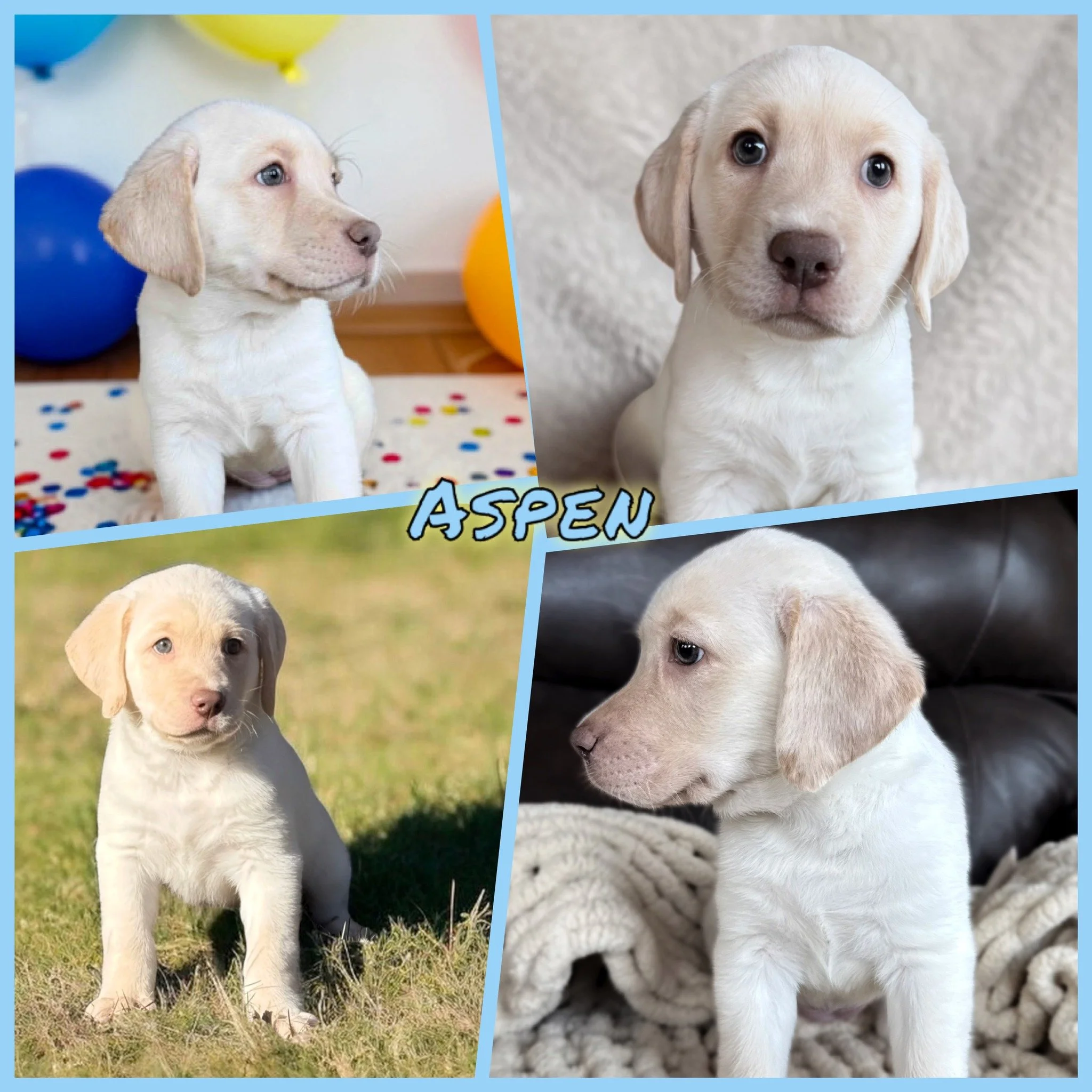Miss Aspen of Sam's #QuietWinter has officially joined her family and is already stepping into her very best life. She arrived just in time to make her mom&rsquo;s birthday extra special&mdash;there&rsquo;s no better gift than the sweet pitter-patter