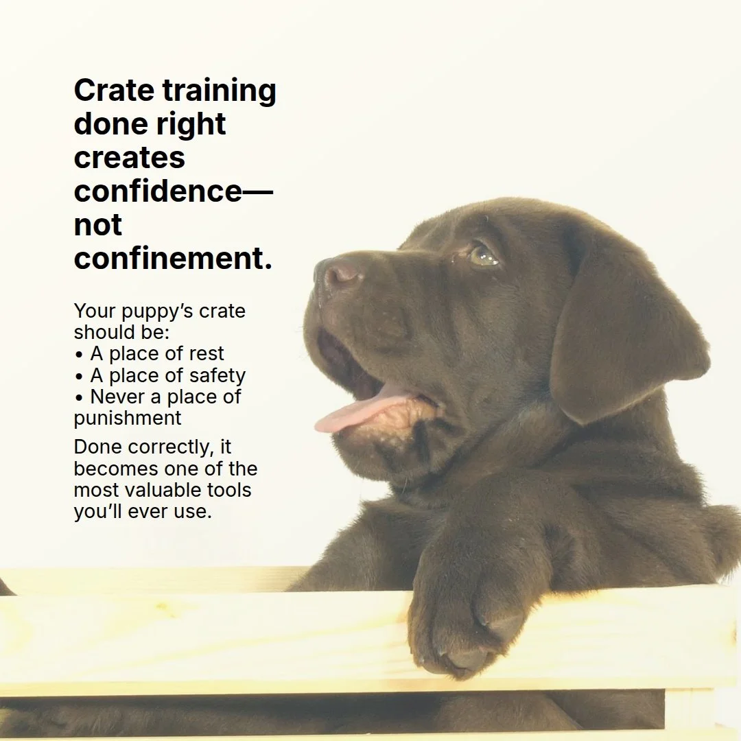 Crate training&mdash;done correctly&mdash;builds confidence, structure, and security.

It&rsquo;s not about containment. It&rsquo;s about creating a space your puppy chooses.

A few key principles:

&bull; Start small
Introduce the crate gradually. L