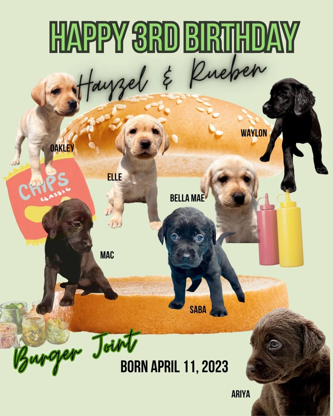 Happy 3rd Birthday to Hayzel &amp; Rueben&rsquo;s #BurgerJoint ! 🍔🎉🐾

Three years ago, this flavor-filled litter made their debut at the #CaveInn, and they&rsquo;ve been serving up joy ever since! With Hayzel&rsquo;s sweetness and Rueben&rsquo;s b