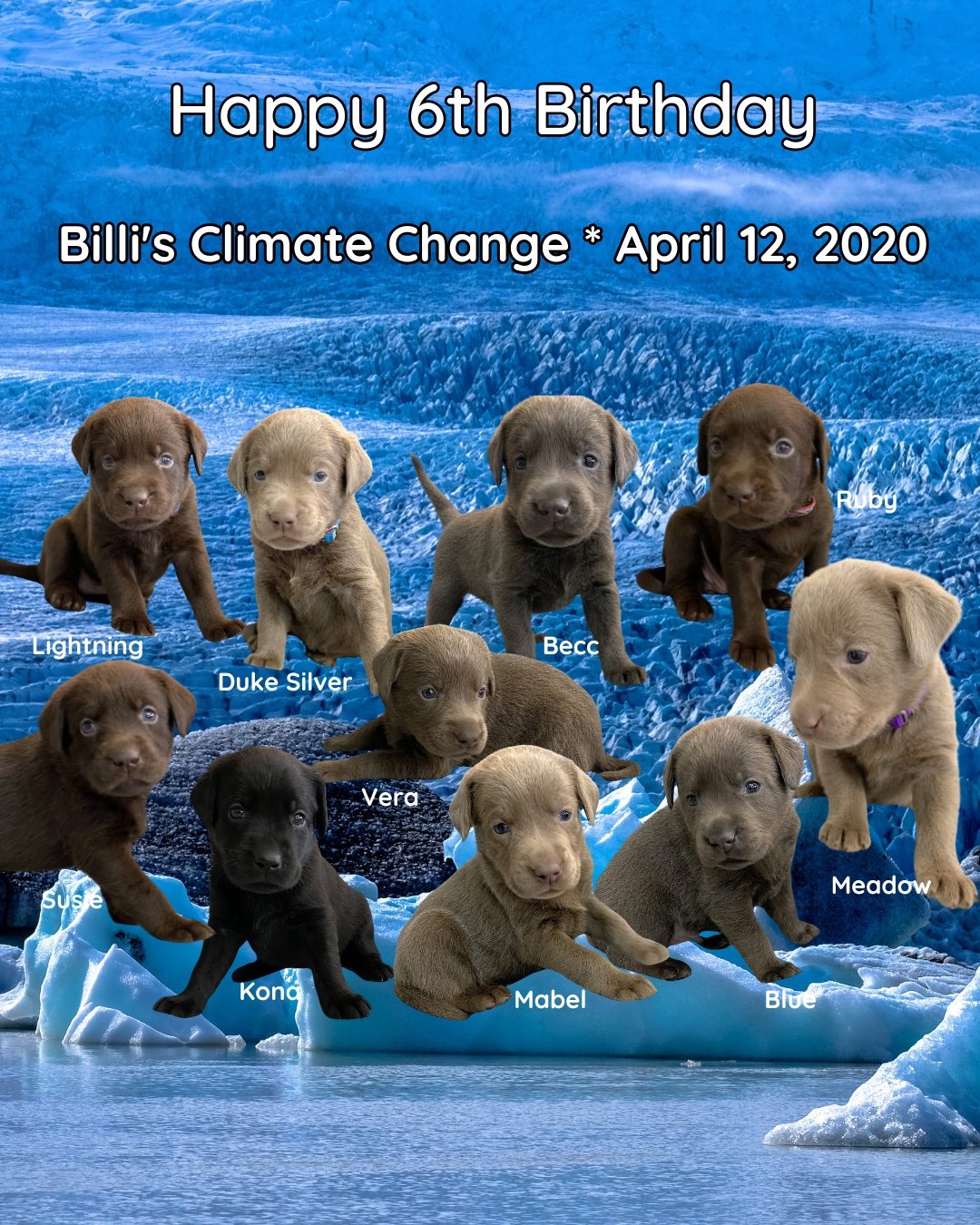 Billi&rsquo;s Climate Change puppies turn 6 today! 🌎🎉

At the #CaveInn, we celebrate this special litter by keeping their namesake close to heart&mdash;thinking of the climate first and striving to make thoughtful, responsible choices every day. 🤎