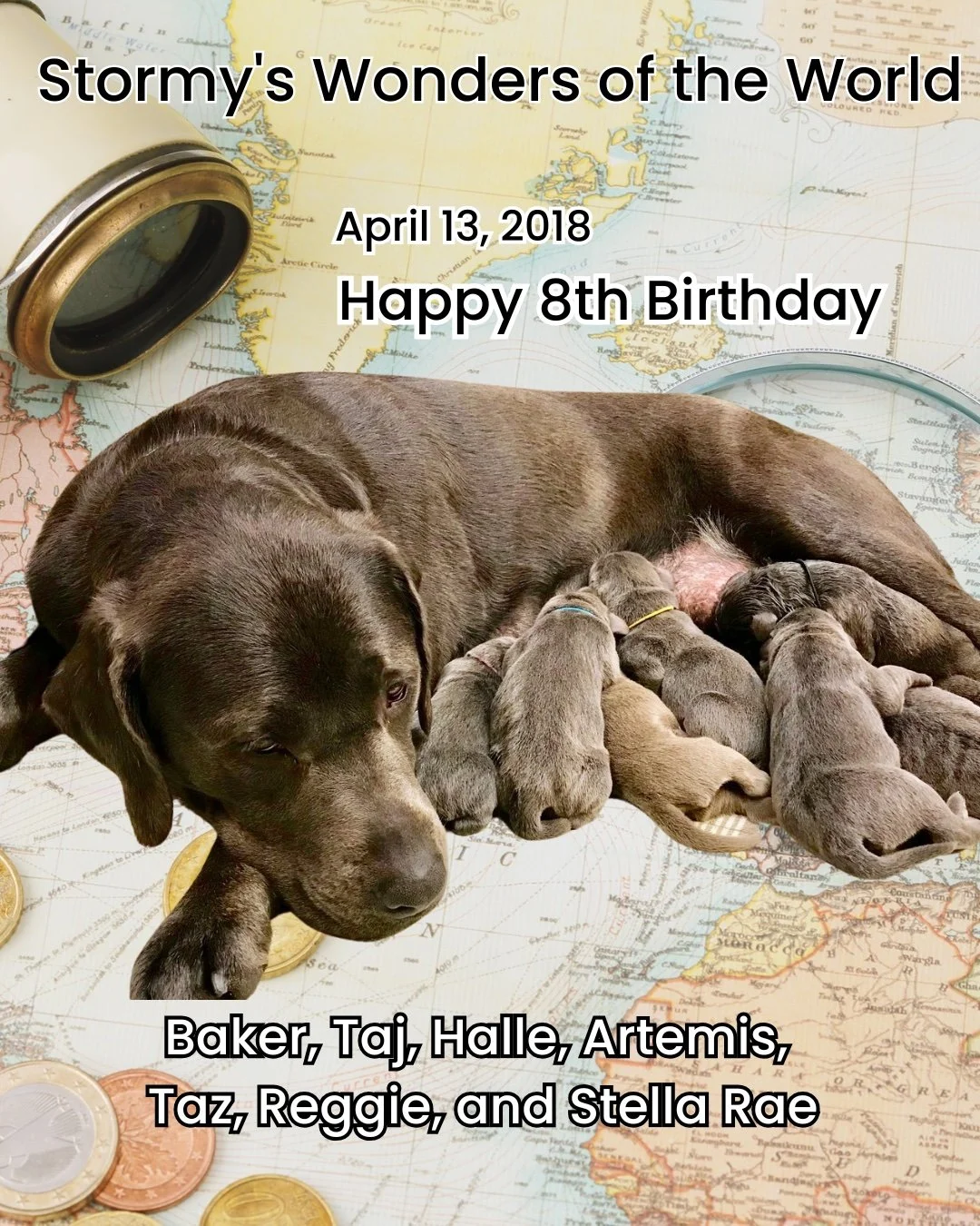 Miss Stormy was truly one of the greats of the #CaveInn, and she&rsquo;s missed every single day 🤎

Celebrating her puppies&rsquo; birthdays each year is one small way we continue to honor her legacy&mdash;and the beautiful lives she helped bring in