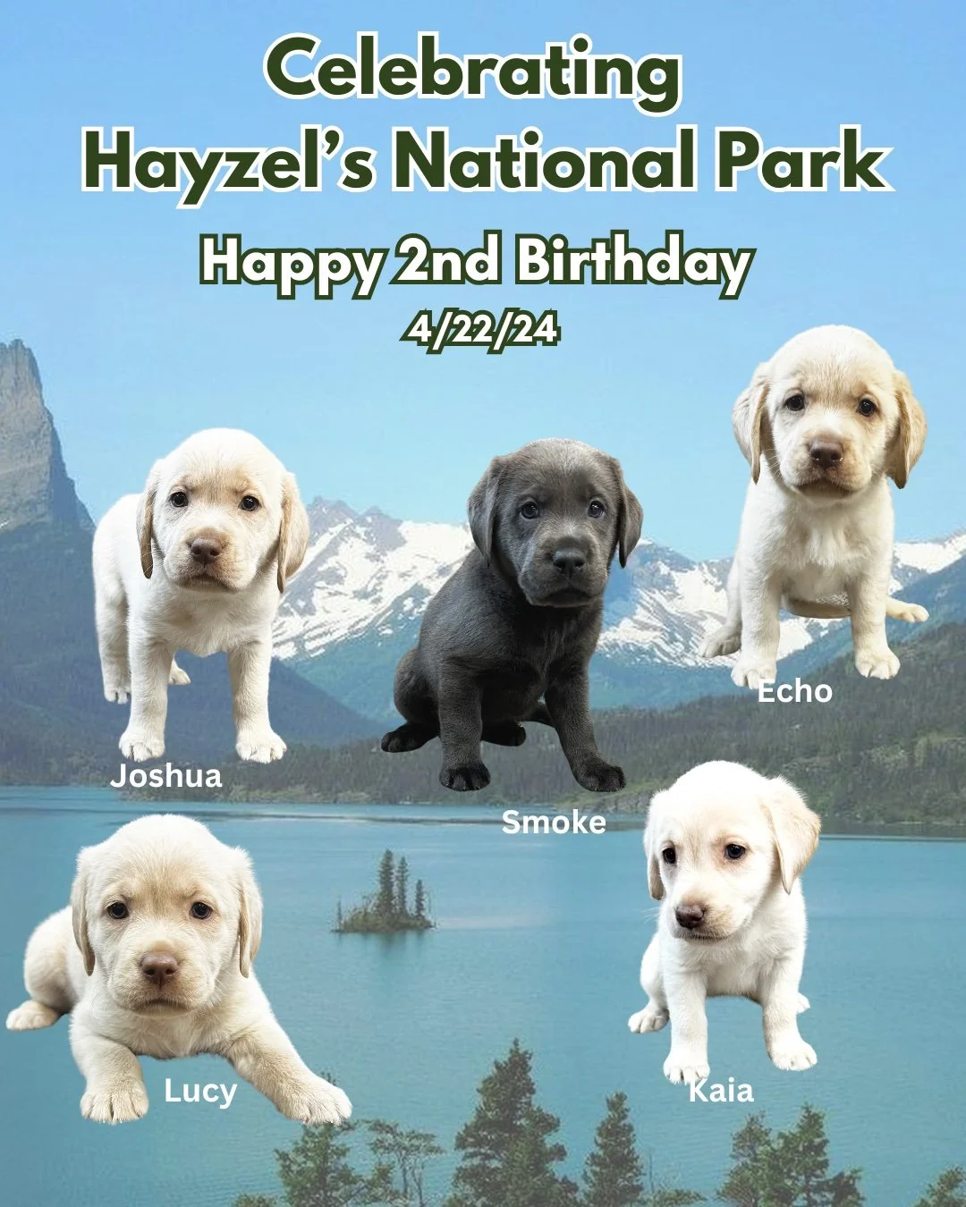Happy 2nd Birthday to Hayzel&rsquo;s #NationalPark crew! 🌲🎉🐾

Two years ago, this adventurous litter made their debut at the #CaveInn, and they&rsquo;ve been exploring life with curiosity and joy ever since! Inspired by some of our most beautiful 