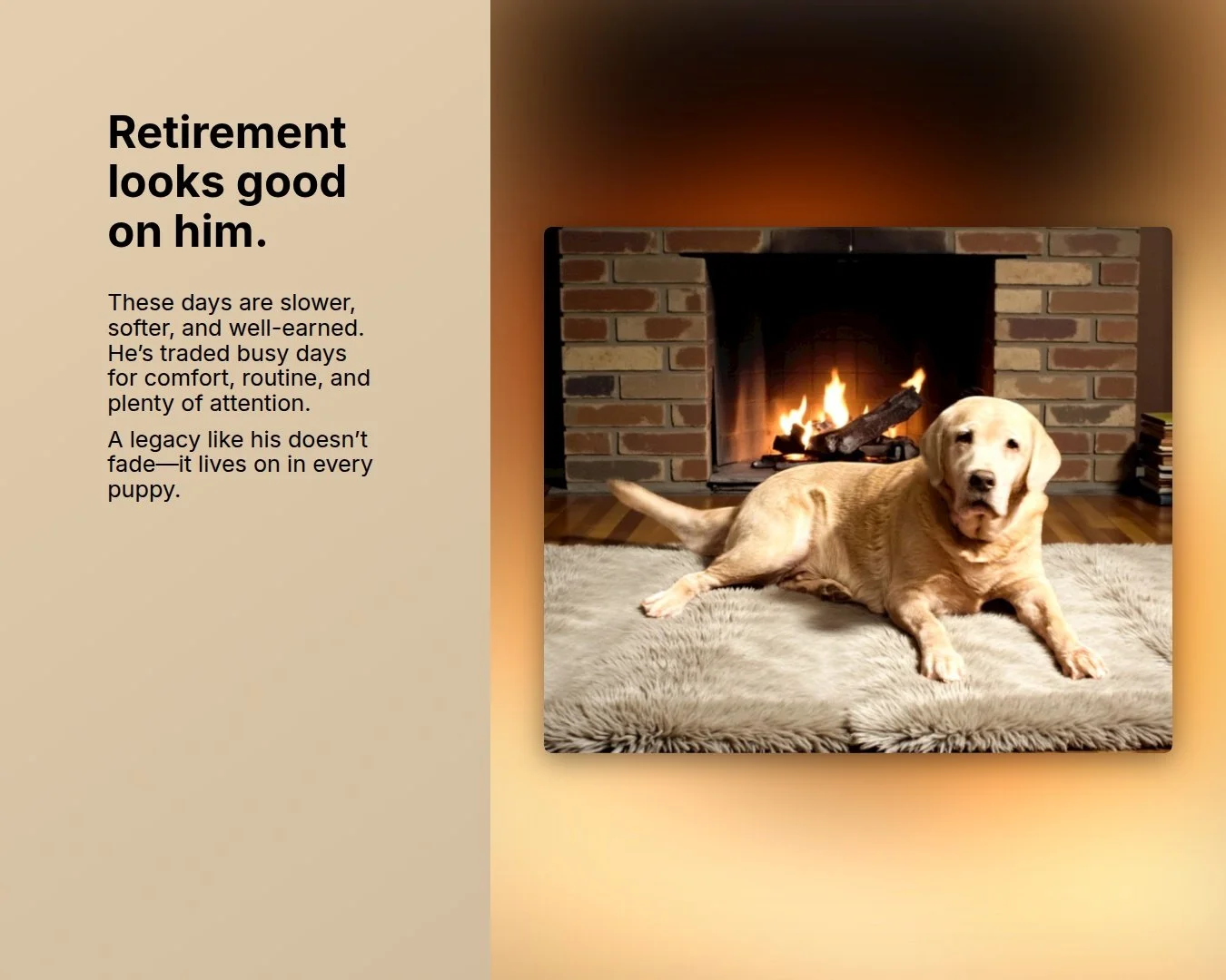 A Dog Like Cave

Every breeding program has dogs that shape its future.

Cave is one of those dogs.

He has contributed not only exceptional offspring, but also a standard&mdash;one that continues to guide our decisions and aspirations. His legacy wi