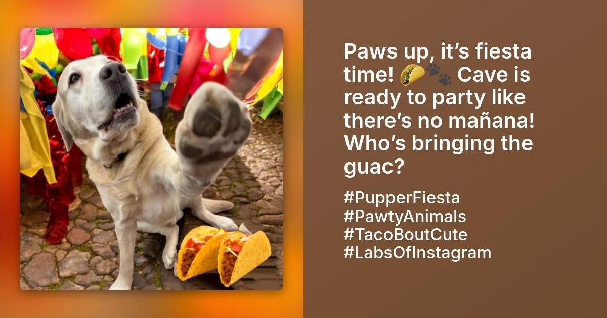 🌮🌼 Cinco de Mayo at the CaveInn 🌼🌮

A little fiesta, a lot of wagging tails, and plenty to celebrate! Today we&rsquo;re soaking up the sunshine, enjoying the playful energy of our crew, and feeling grateful for every pup, past and present, that&r
