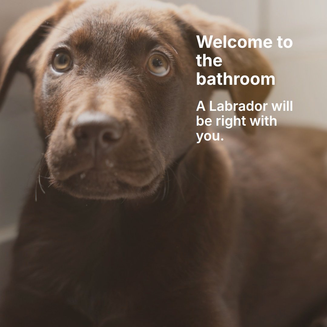 Welcome to the bathroom&hellip;
a Labrador will be right with you.

Privacy is more of a suggestion when you live with a Lab. Whether it&rsquo;s supervising your morning routine, guarding the door, or simply making sure you haven&rsquo;t disappeared,