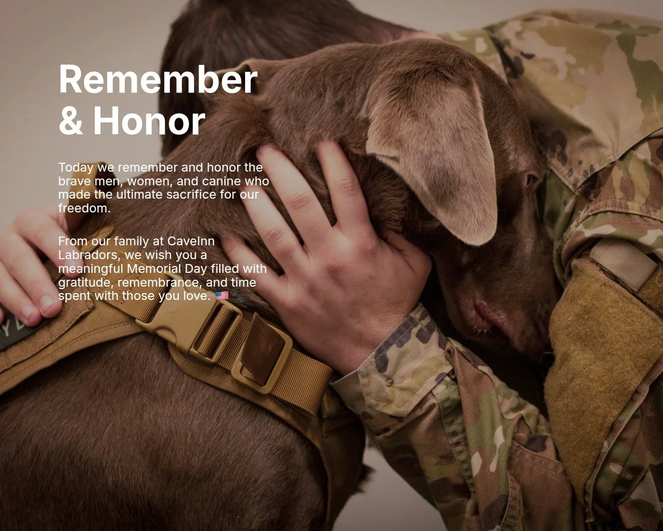 Some heroes wear uniforms. Some leave paw prints on our hearts.
This Memorial Day, we honor the courage, sacrifice, and loyalty of those who served our country &mdash; values our Labradors remind us of every day. 🇺🇸❤️🐾