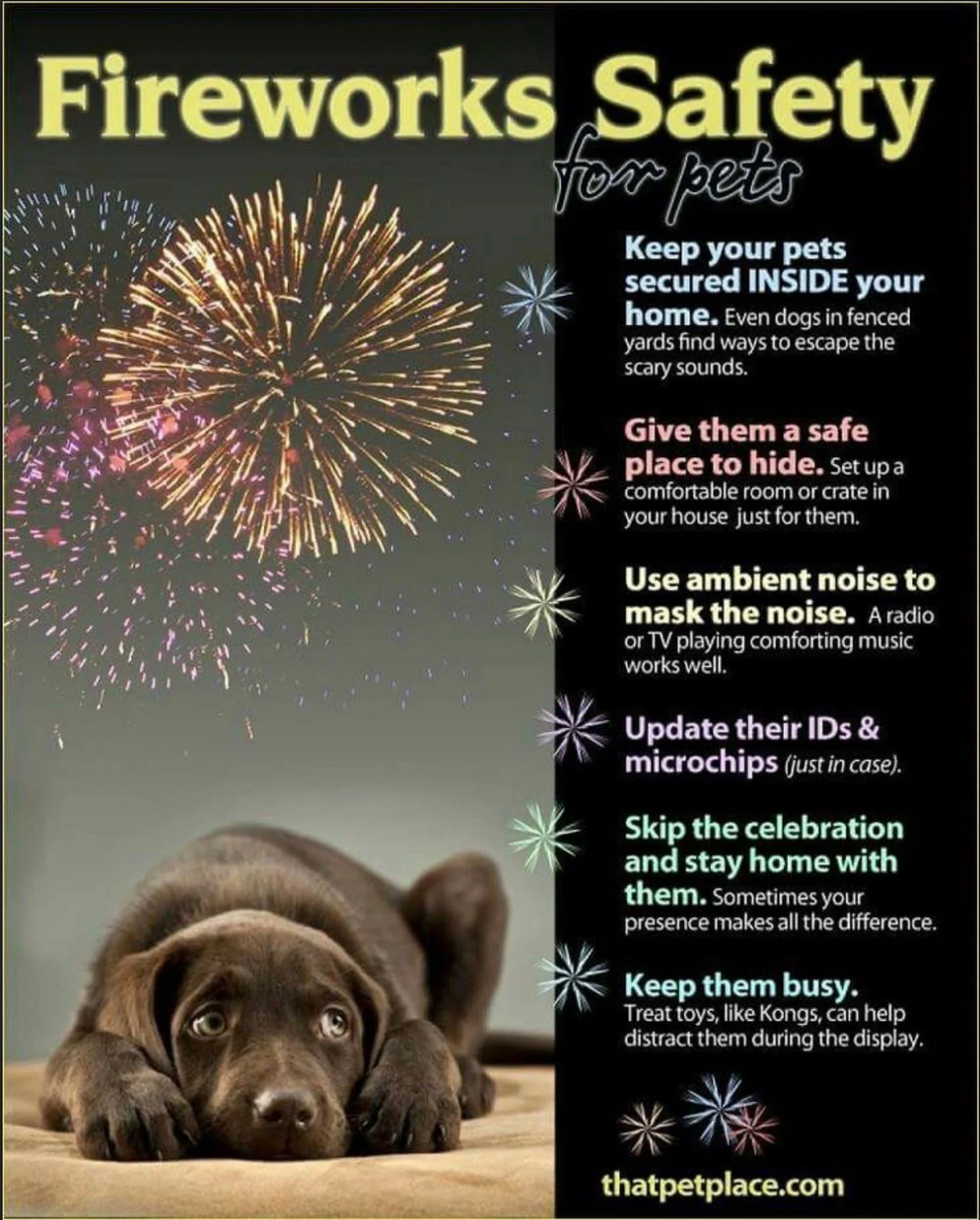 🇺🇸 Happy Independence Day from all of us at CaveInn Labradors! 🇺🇸

The Fourth of July is a celebration of freedom, family, and the blessings we often take for granted. Around the CaveInn, it is also a reminder that the simplest moments are often 