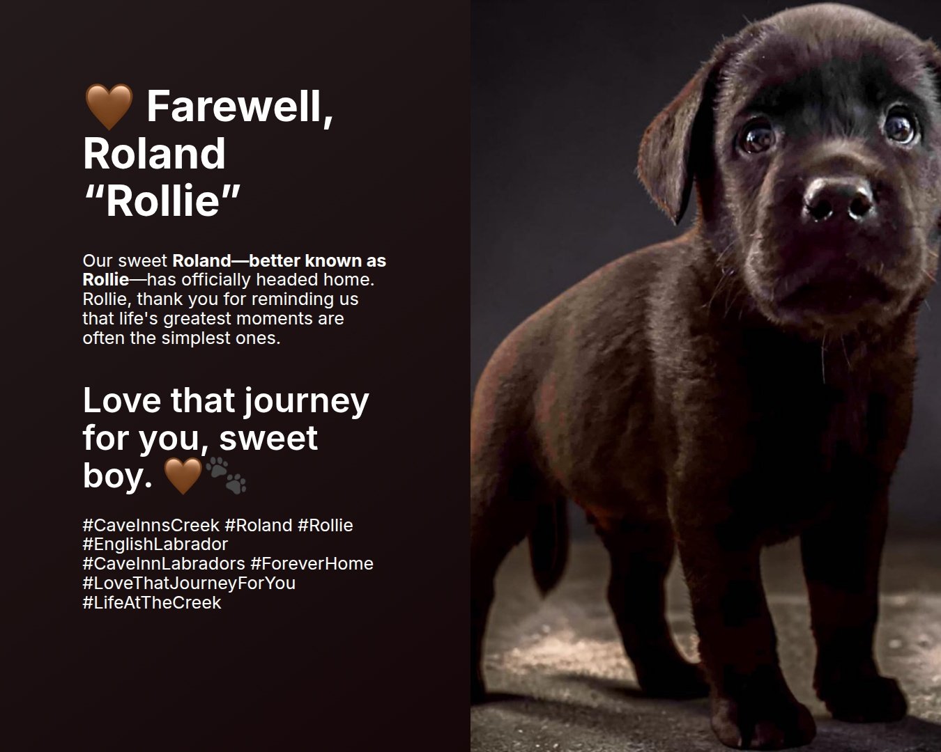 🤎 Farewell, Roland "Rollie"
