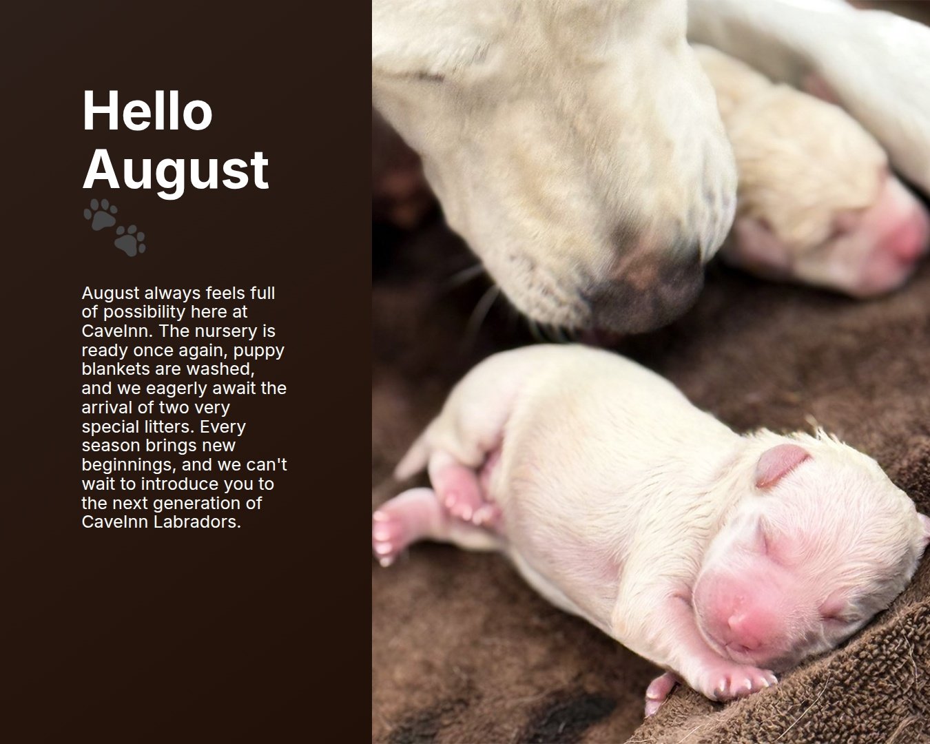 Stay tuned for an exciting few weeks coming up at the #CaveInn.