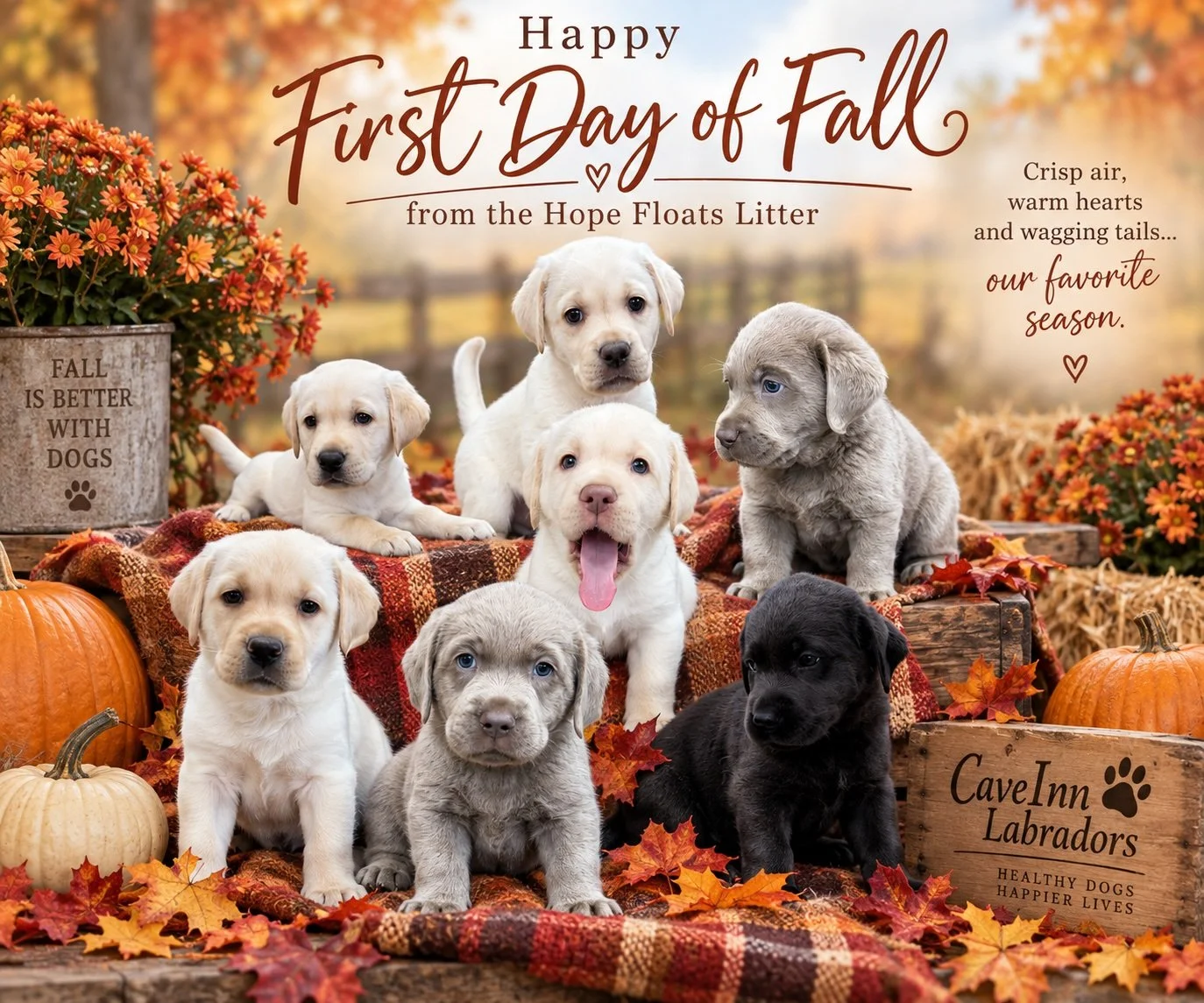 🍂 Hello, Fall! 🍂

Crisp air, colorful leaves, cozy blankets&hellip;and puppy snuggles. What could be better? 🐾

The Hope Floats kids are helping us welcome one of our favorite seasons at CaveInn. Here&rsquo;s to warm hearts, wagging tails, and bea