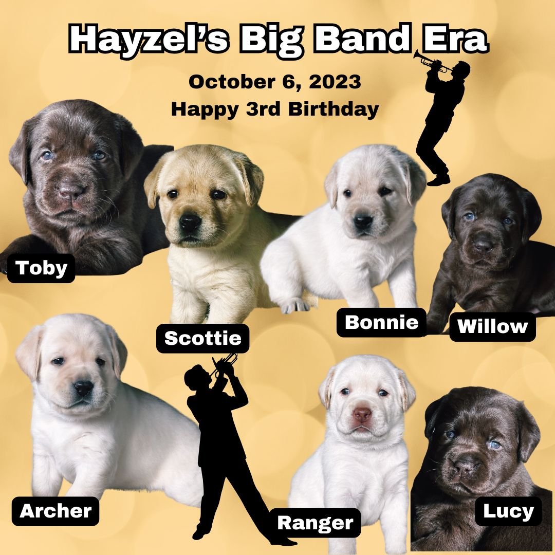 🎺🎶 Happy 3rd Birthday to Hayzel&rsquo;s Big Band Era! 🎂🐾
On October 6, 2023, Toby, Scottie, Bonnie, Willow, Archer, Ranger &amp; Lucy joined the CaveInn family&mdash;and they&rsquo;ve been making beautiful music ever since! ❤️
Wishing our Big Ban