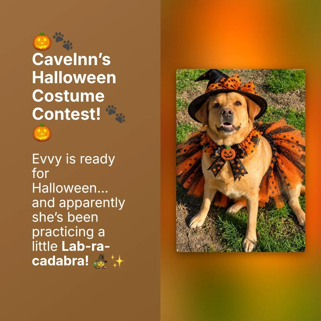 Now we want to see YOUR pets dressed for Halloween!

Post a photo of your dog, cat&mdash;or any beloved critter&mdash;in their best Halloween costume in the comments below. Then come back and vote for your favorites!

👻 How to enter:
&bull; Add your