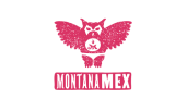 mtmex_logo.png