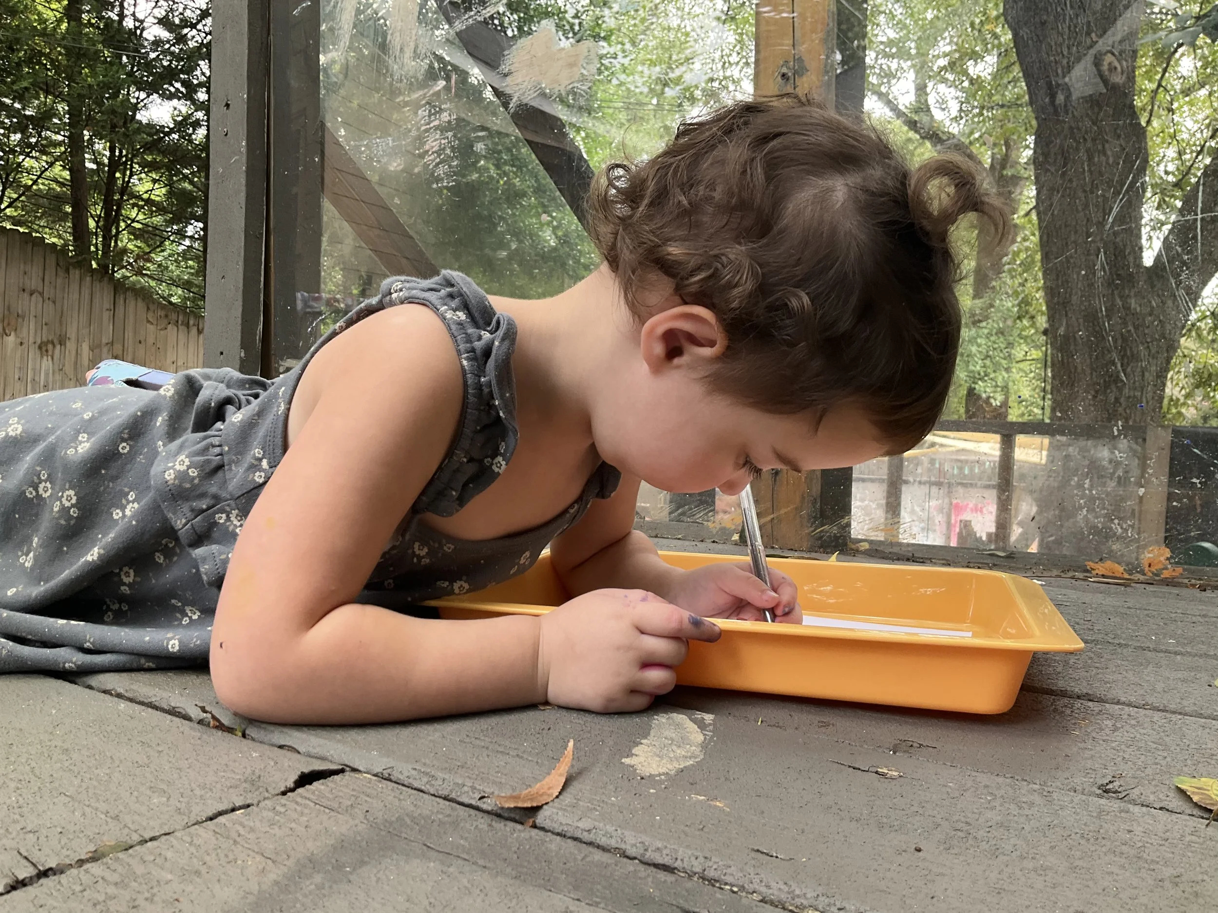 Kitah Gimmel-1 Draws Fall Webworms