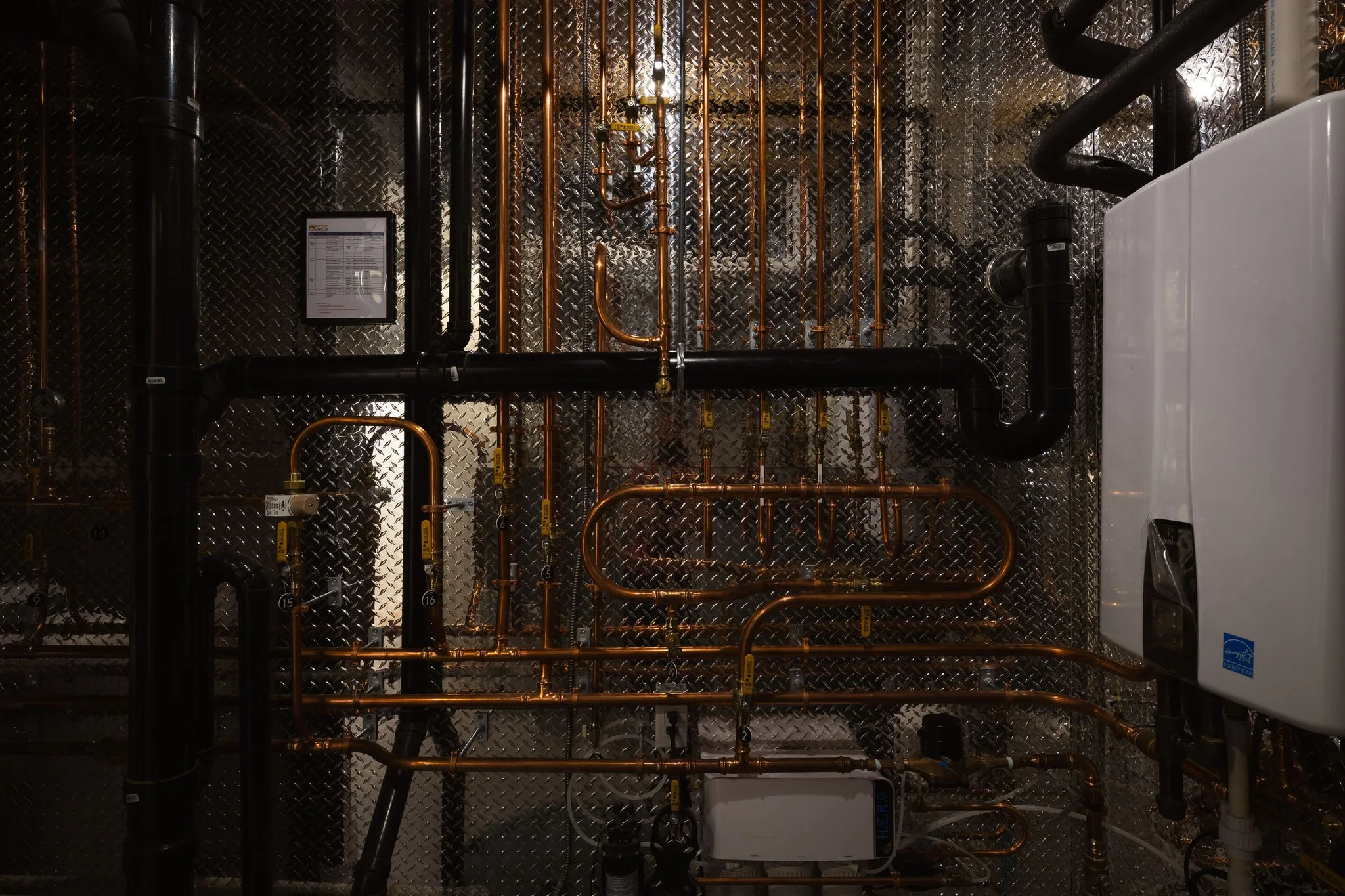 AB3A8325.jpg