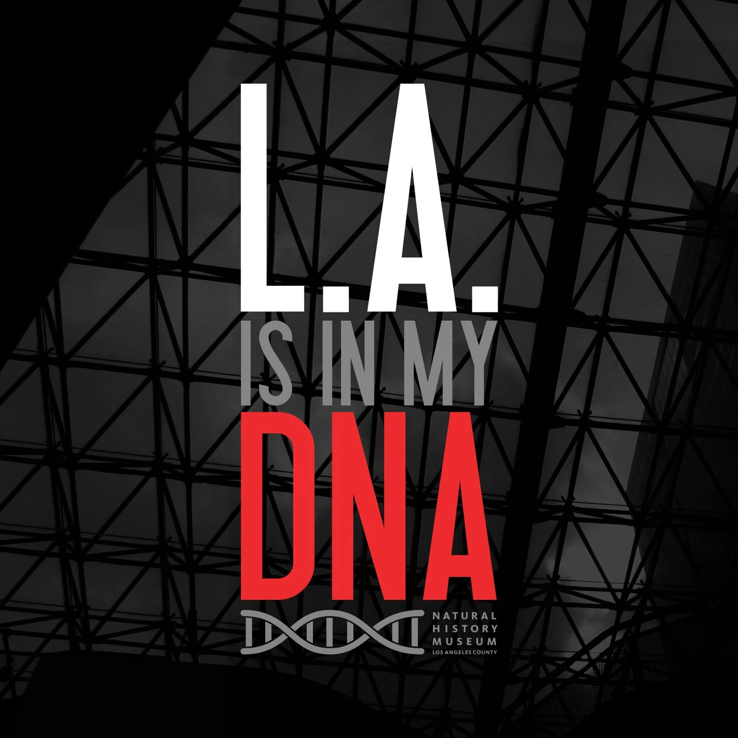 LADNA_LOGO.jpg