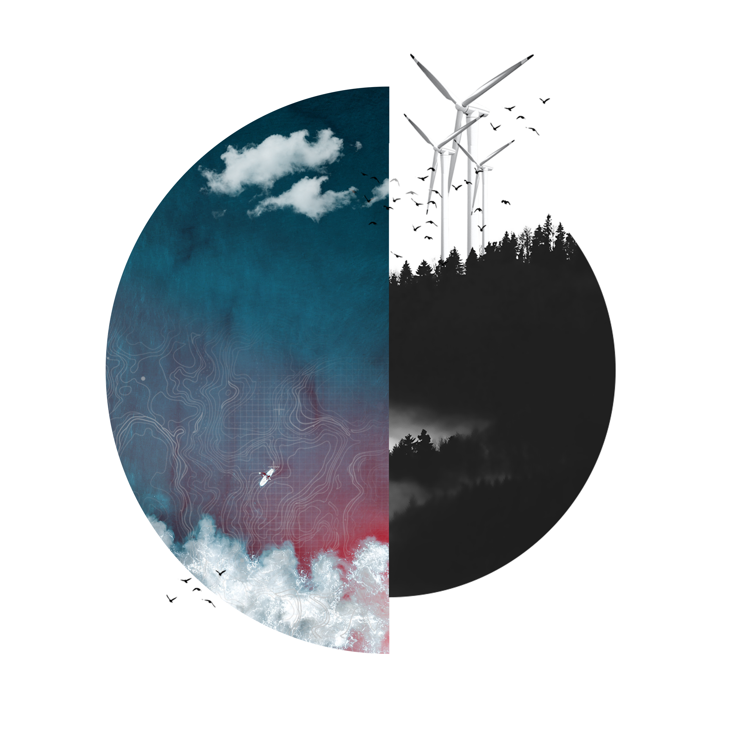 Collages3.png