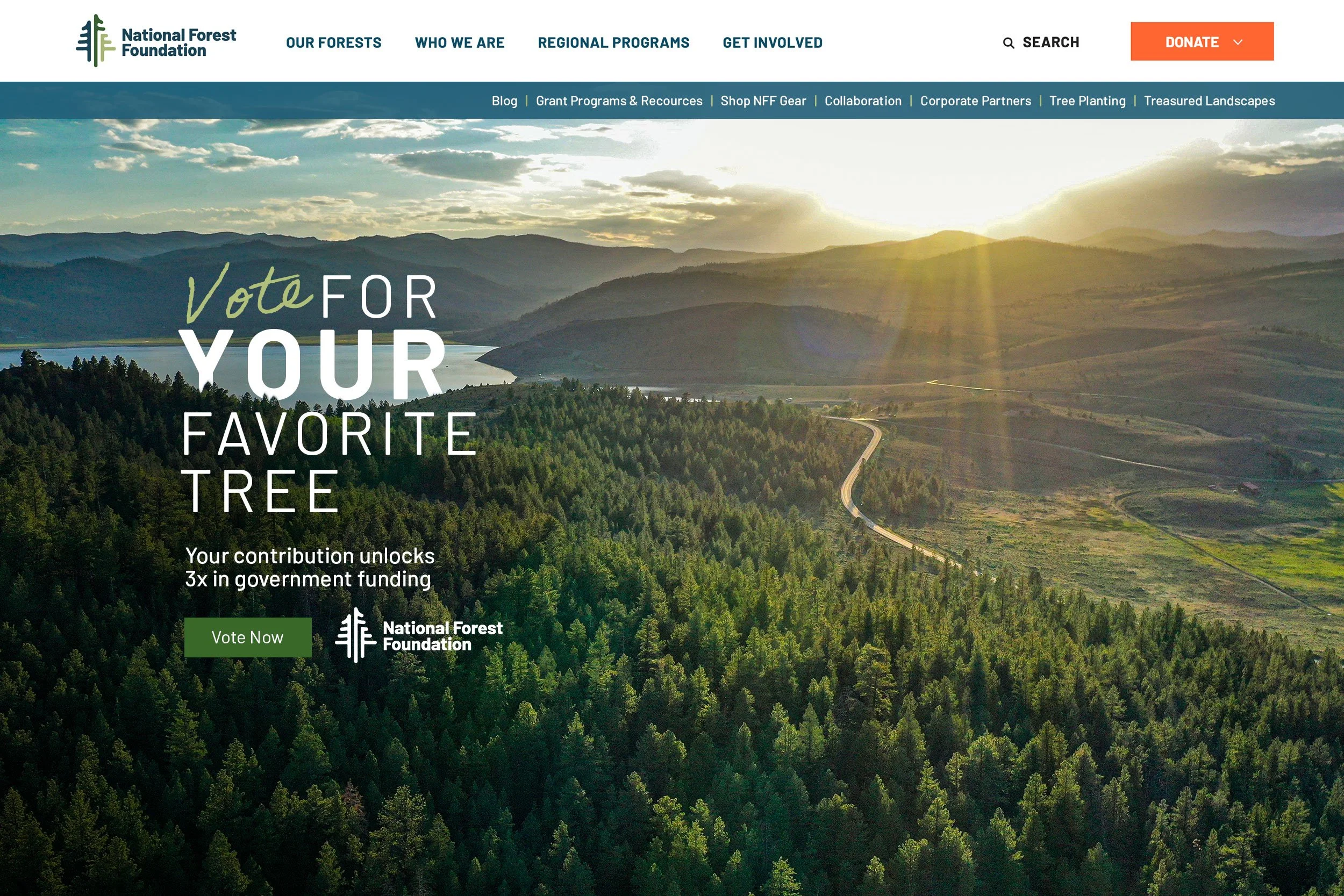 NFF_Header_Mockup_v1.jpg