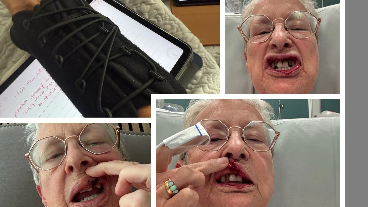 End of November 2025 Update