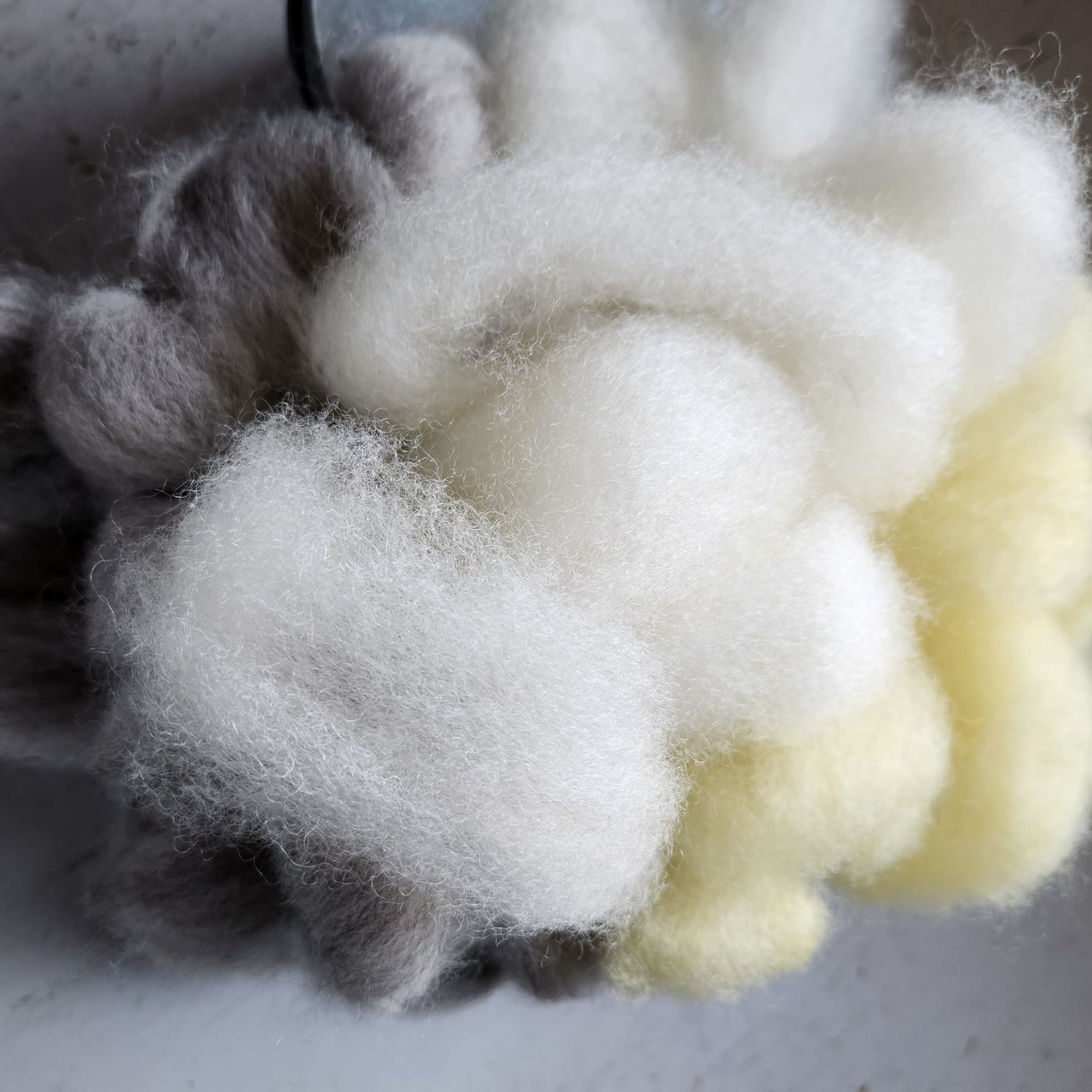 artisan alpca CVM wool roving for handspinning naturally dyed FS.jpg