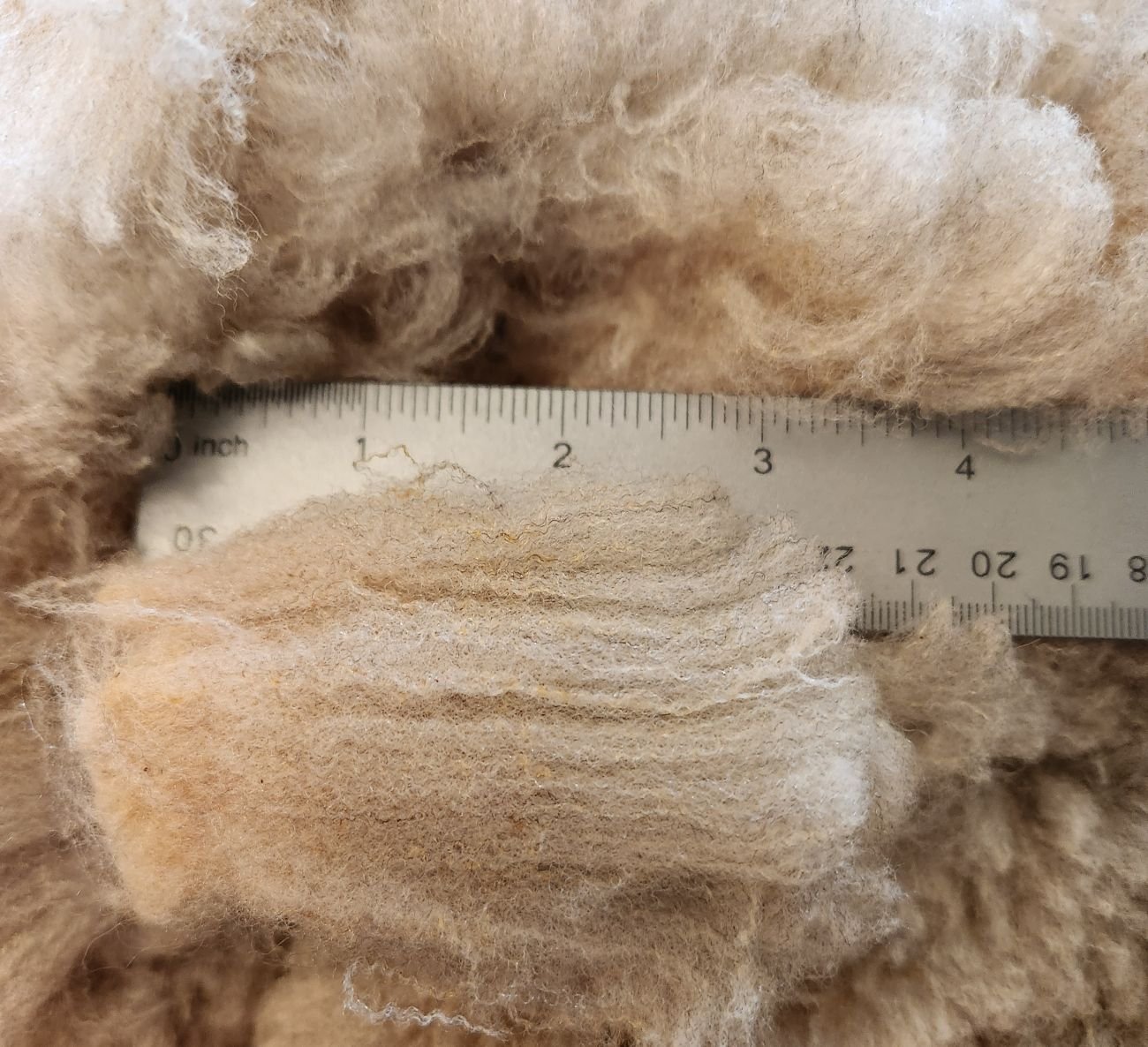 Premium CVM fine wool for handspinning gray multicolor Heiko fleece staple.jpg