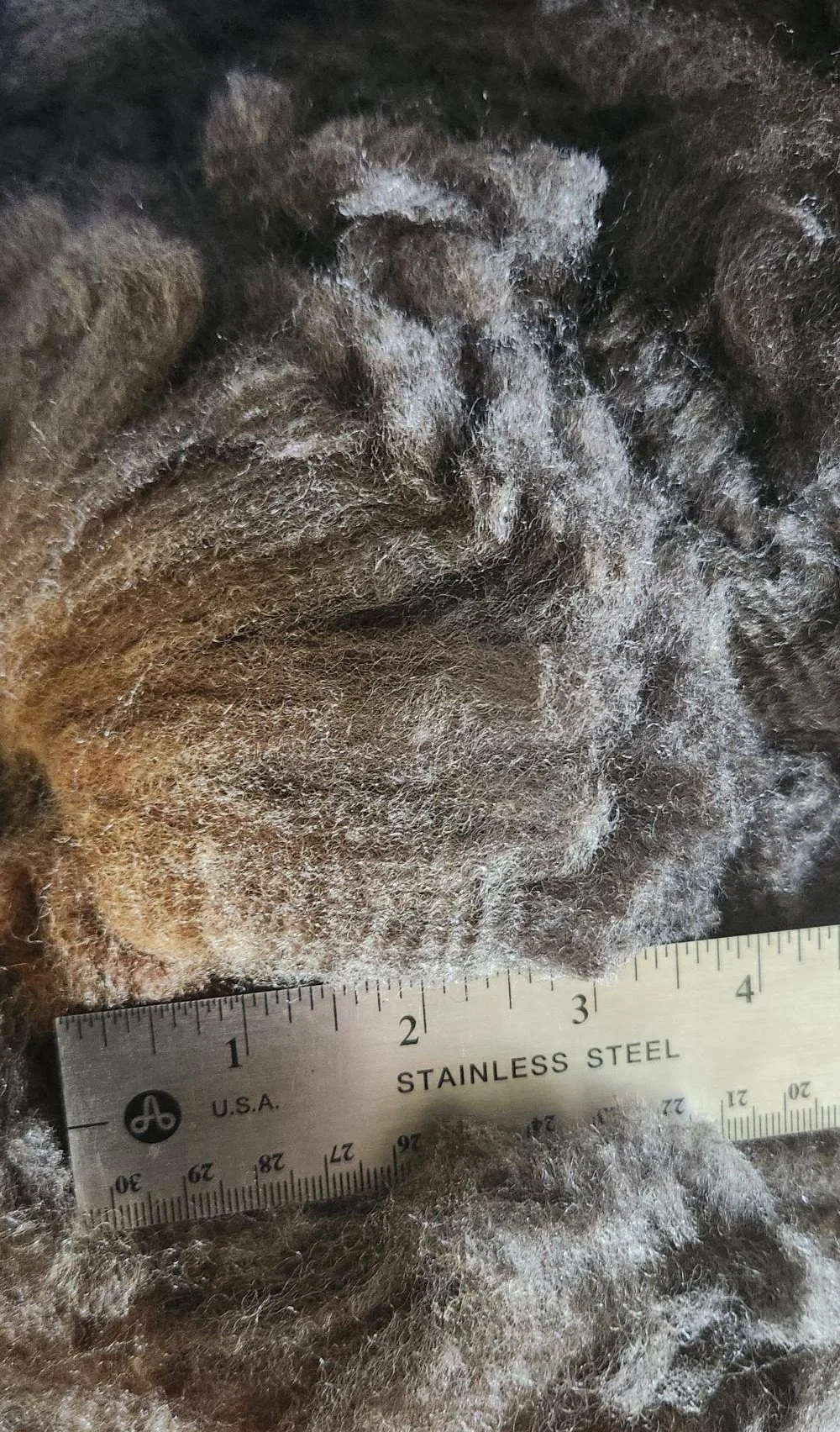 Romeldale CVM fine wool fleece staple Eugene.jpg