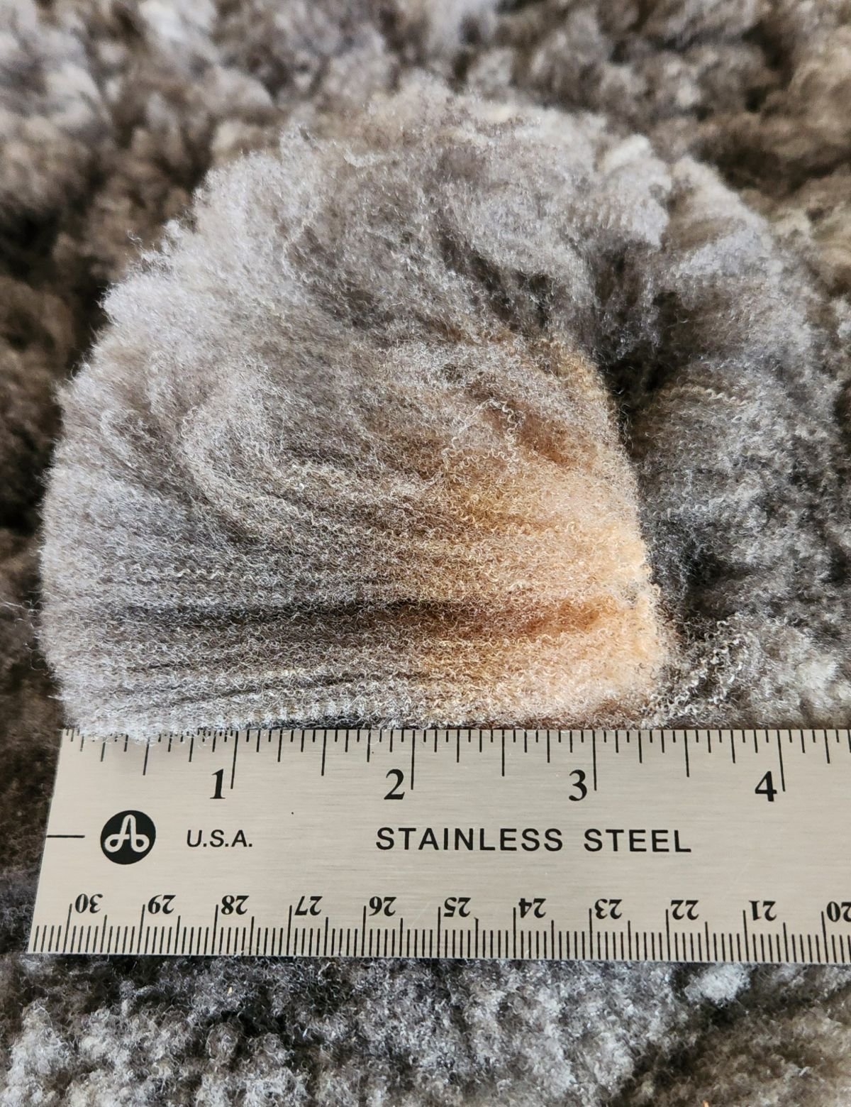 CVM Romeldale fine wool gray fleece staple.jpg