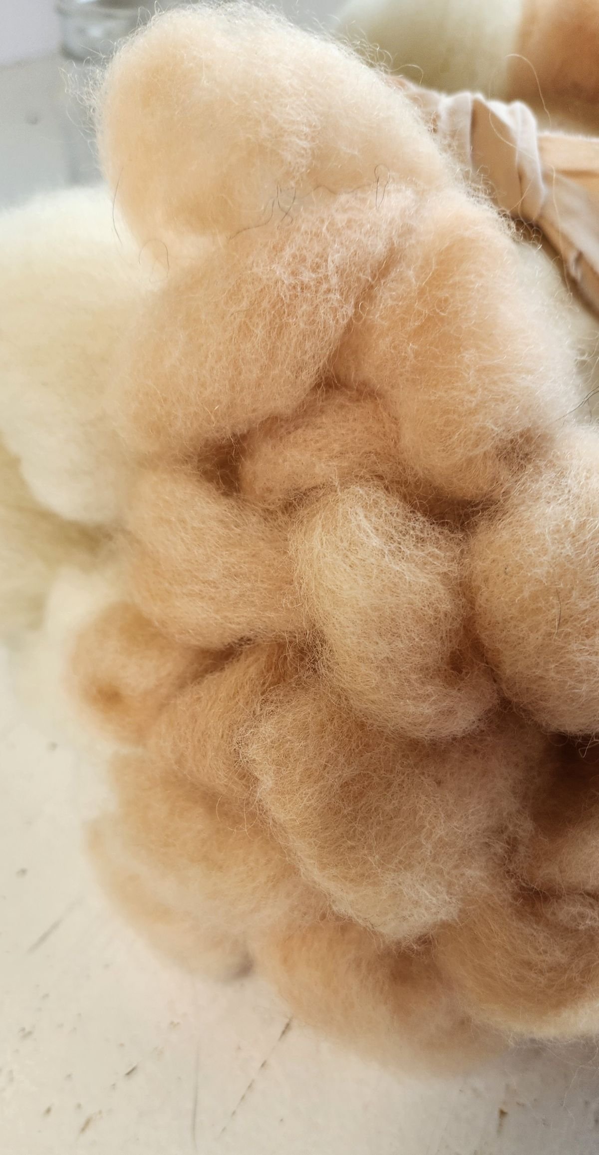 Romeldale CVM and Romney roving natural dye 4 oz Harlow.jpg