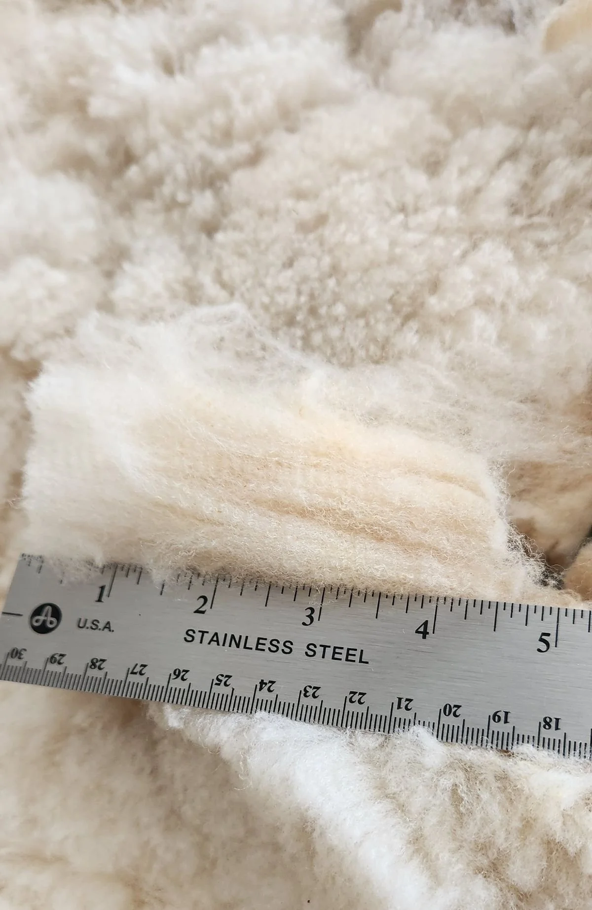 CVM Romeldale fine wool staple Jolie.jpg