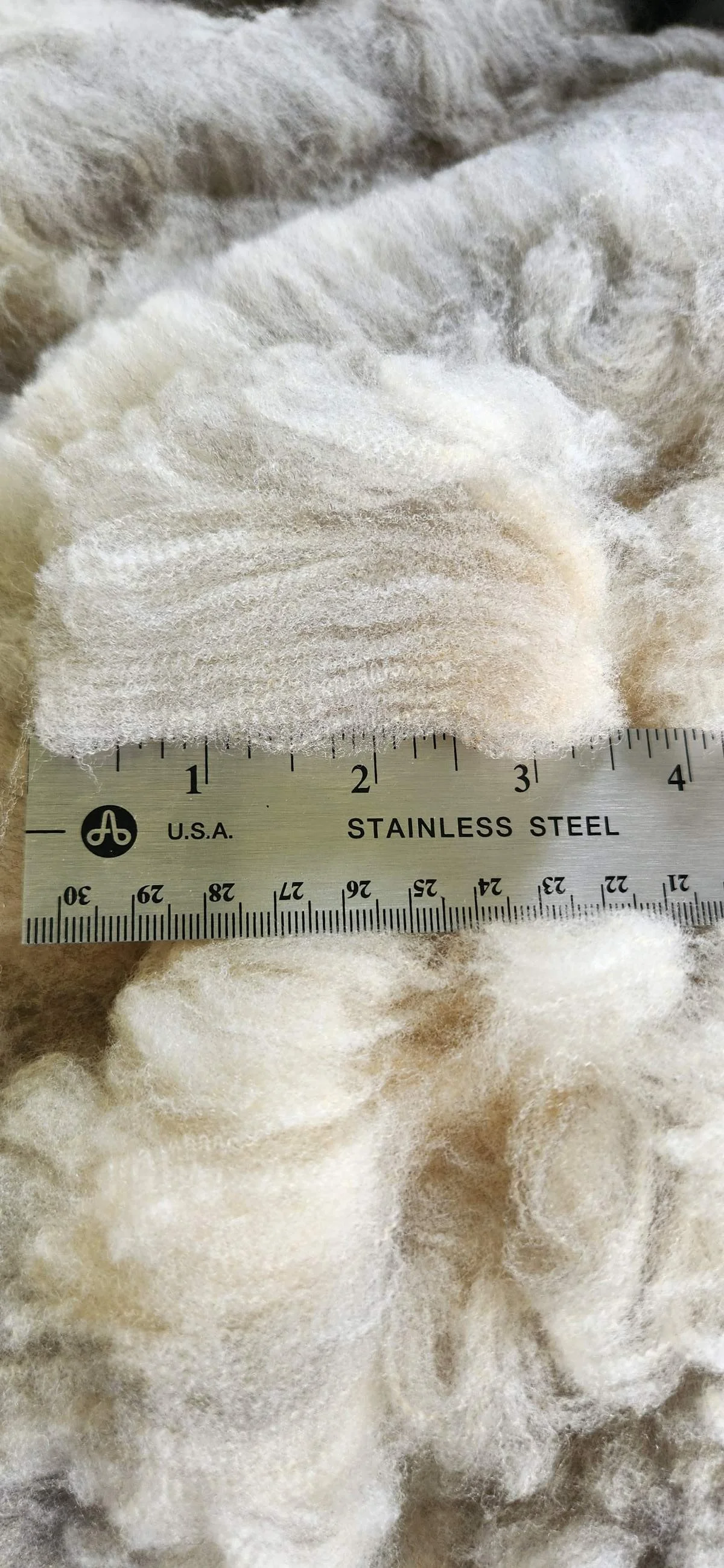 Romeldale CVM fine wool fleece staple KylieBlue.jpg