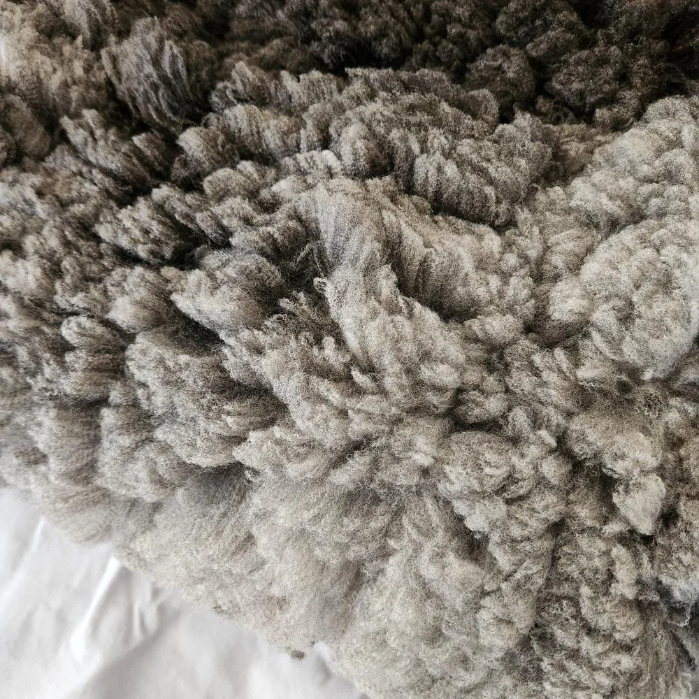 Premium CVM fine wool fleece for hand spinning color charcoal Biskit lock crimp.jpg