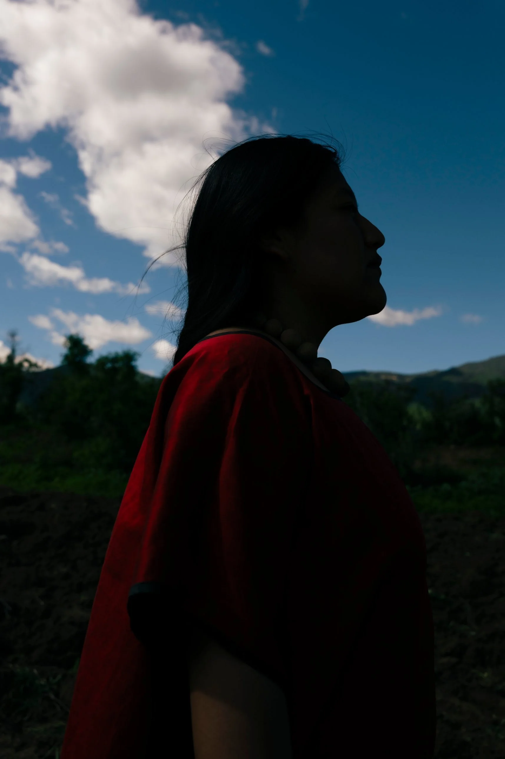 noir-tierra-02-profile-sky.jpg