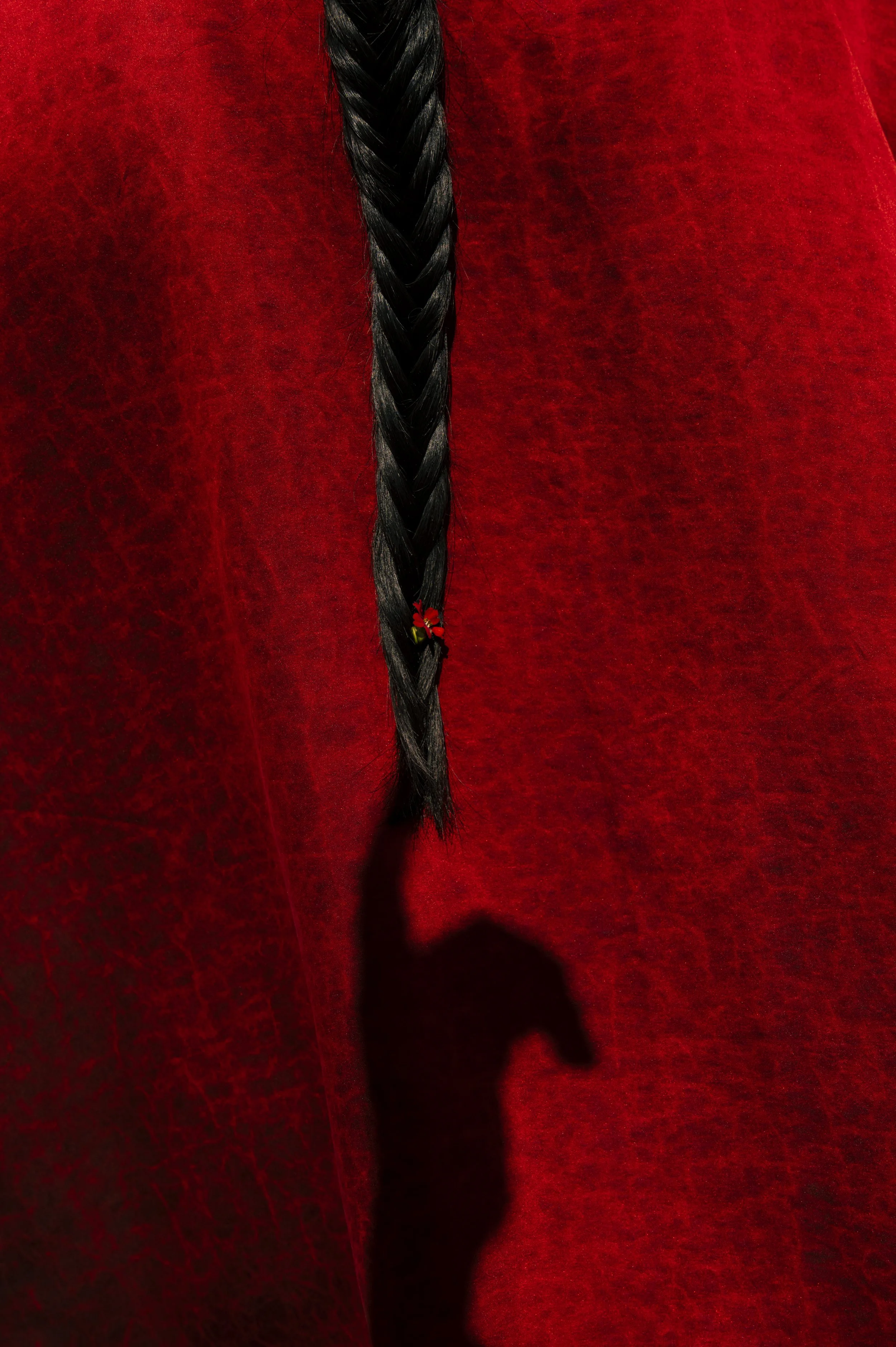 L1024510.jpg