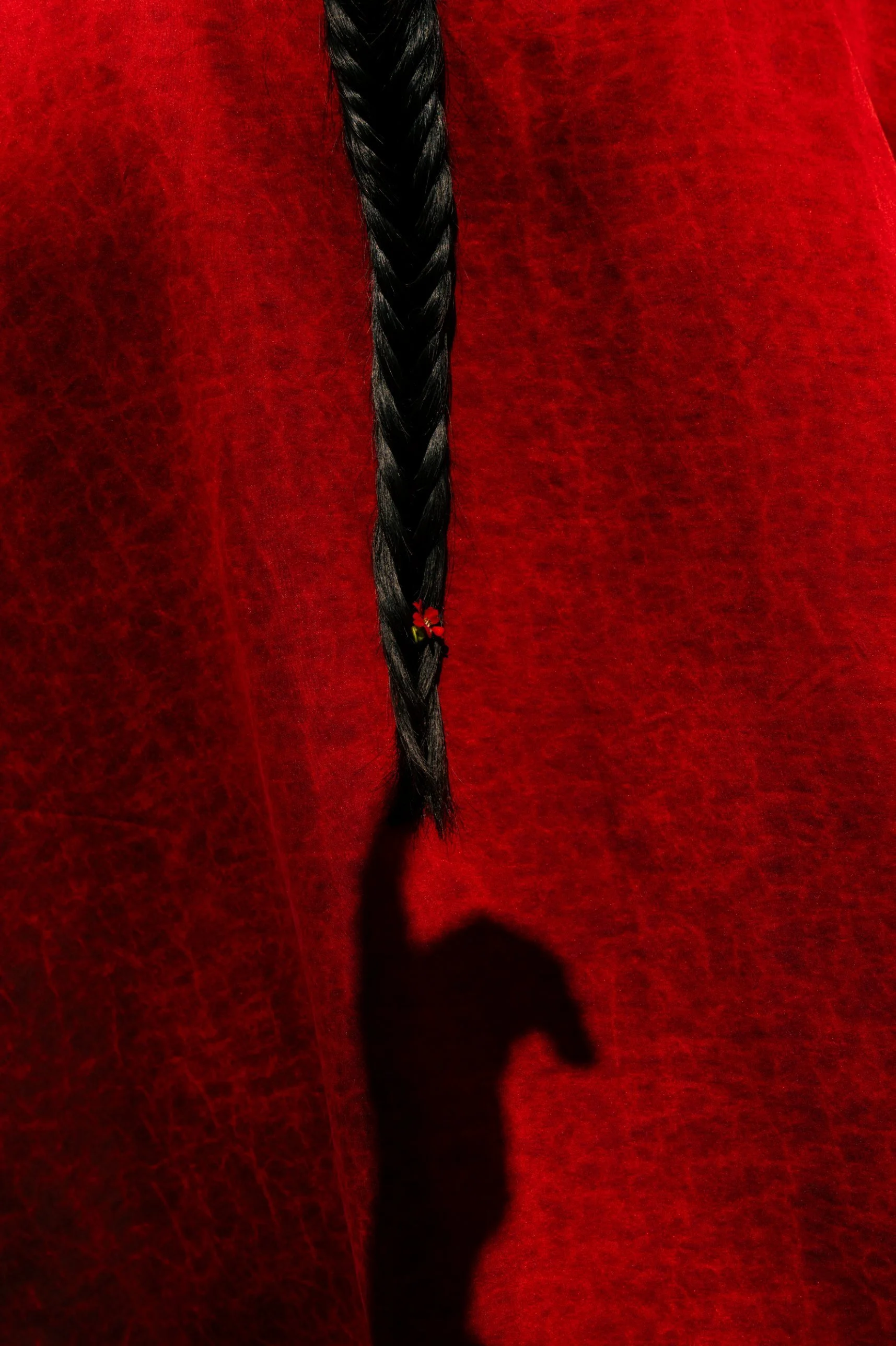 noir-tierra-01-braid.jpg