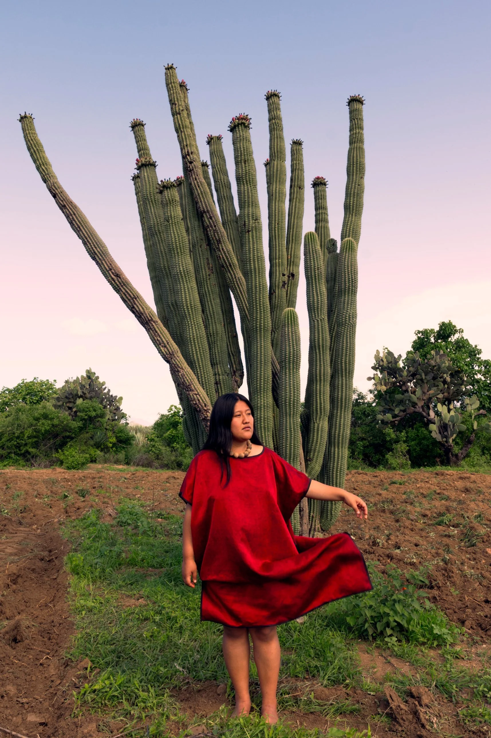 noir-tierra-04-figure-cactus.jpg