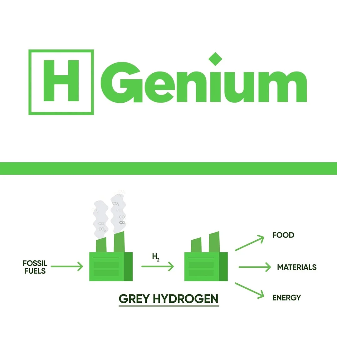 Logo Animation + Motion Design Assets - HGenium