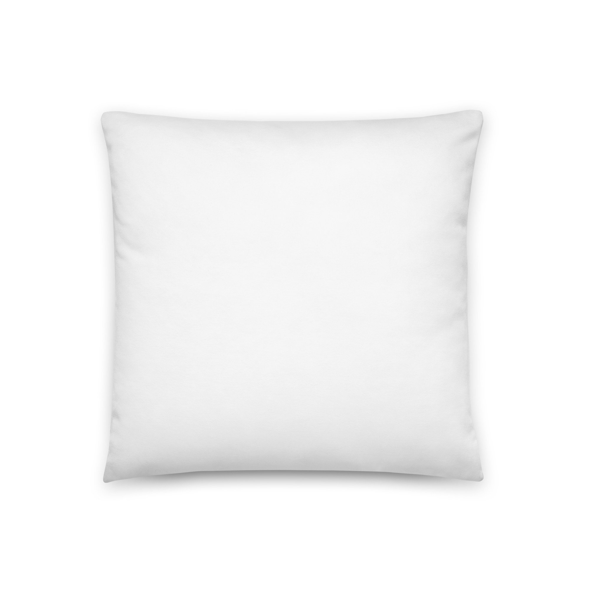 all-over-print-basic-pillow-18x18-back-66a3c2f322afb.jpg
