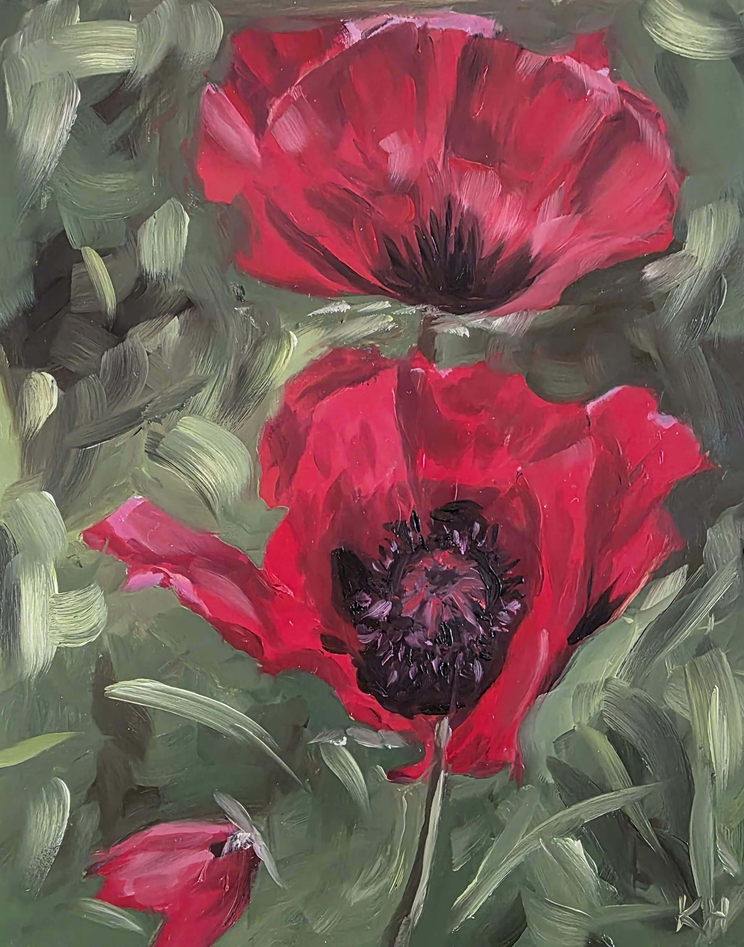 Red Poppies
10x8 Oil on Board