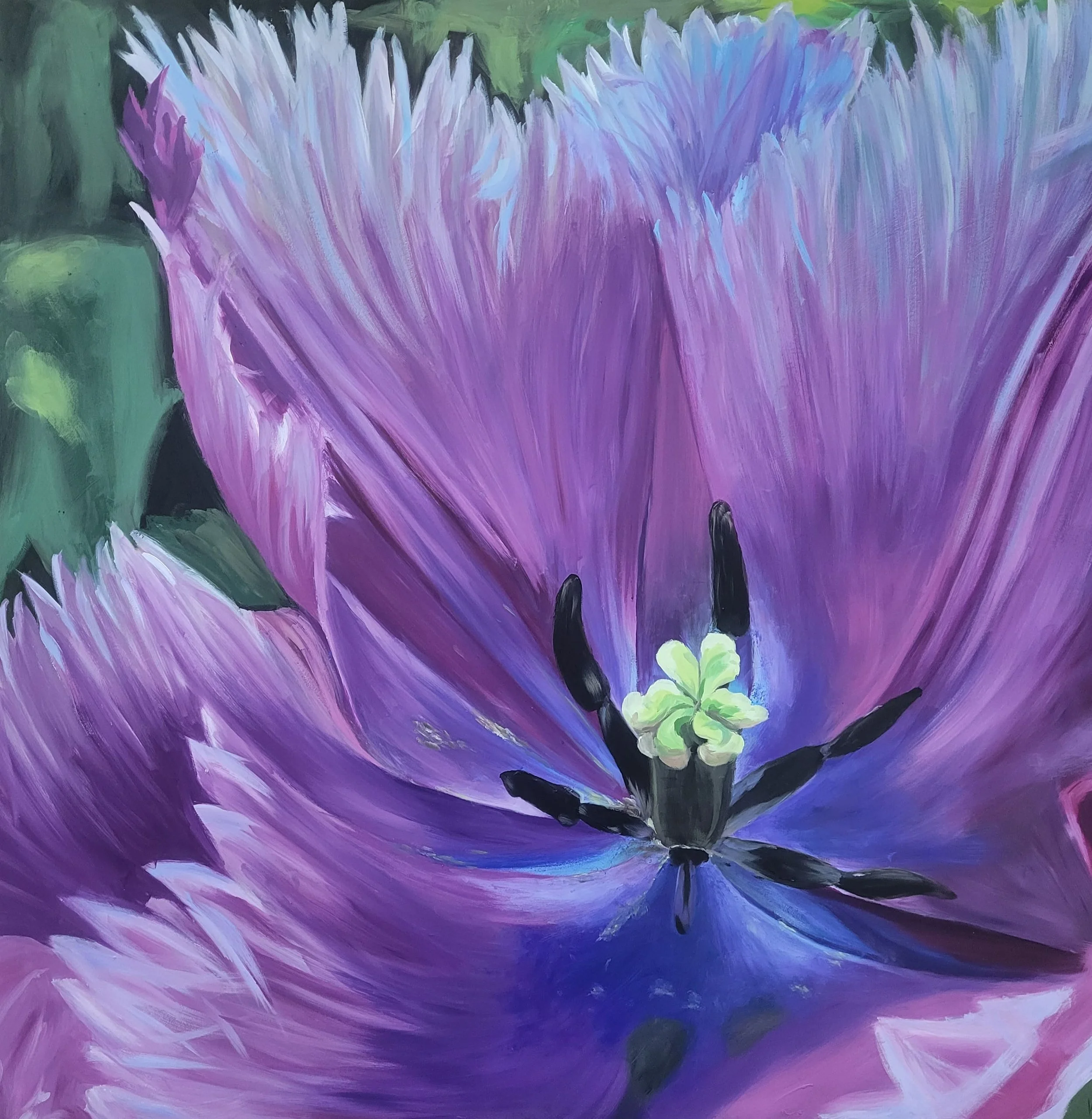Cloisters Tulip
30x30 Oil on Board