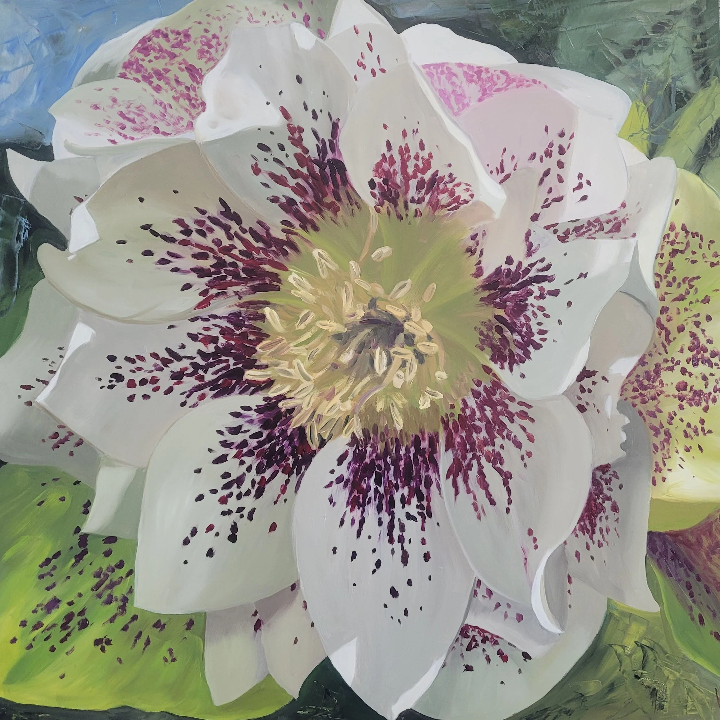 Ames Hellebore
30x30 Oil on Board