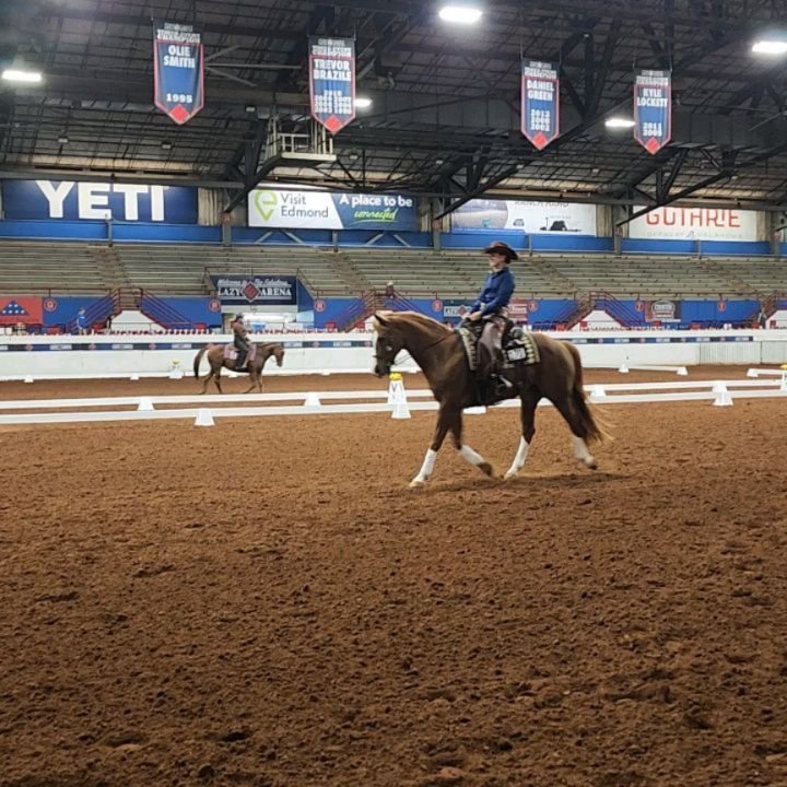 Another great day! 

✨️Amanda C and Filander✨️ 
World Champion Level 3-1 Amateur 
Top Ten Level 2-1 Amateur 
Although they had bobbles in their first test, Amanda was strategic and corrected those mistakes to pull one of her best rides to date! Flirt