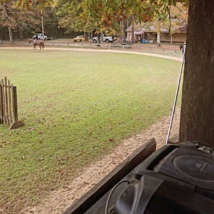 I had the honor and privilege of judging at the Cape Fear Trail Riders Show, the very same grounds that provided so many firsts for me and my equestrian journey. 

These were the grounds that I participated in my very first horse show as a little gir
