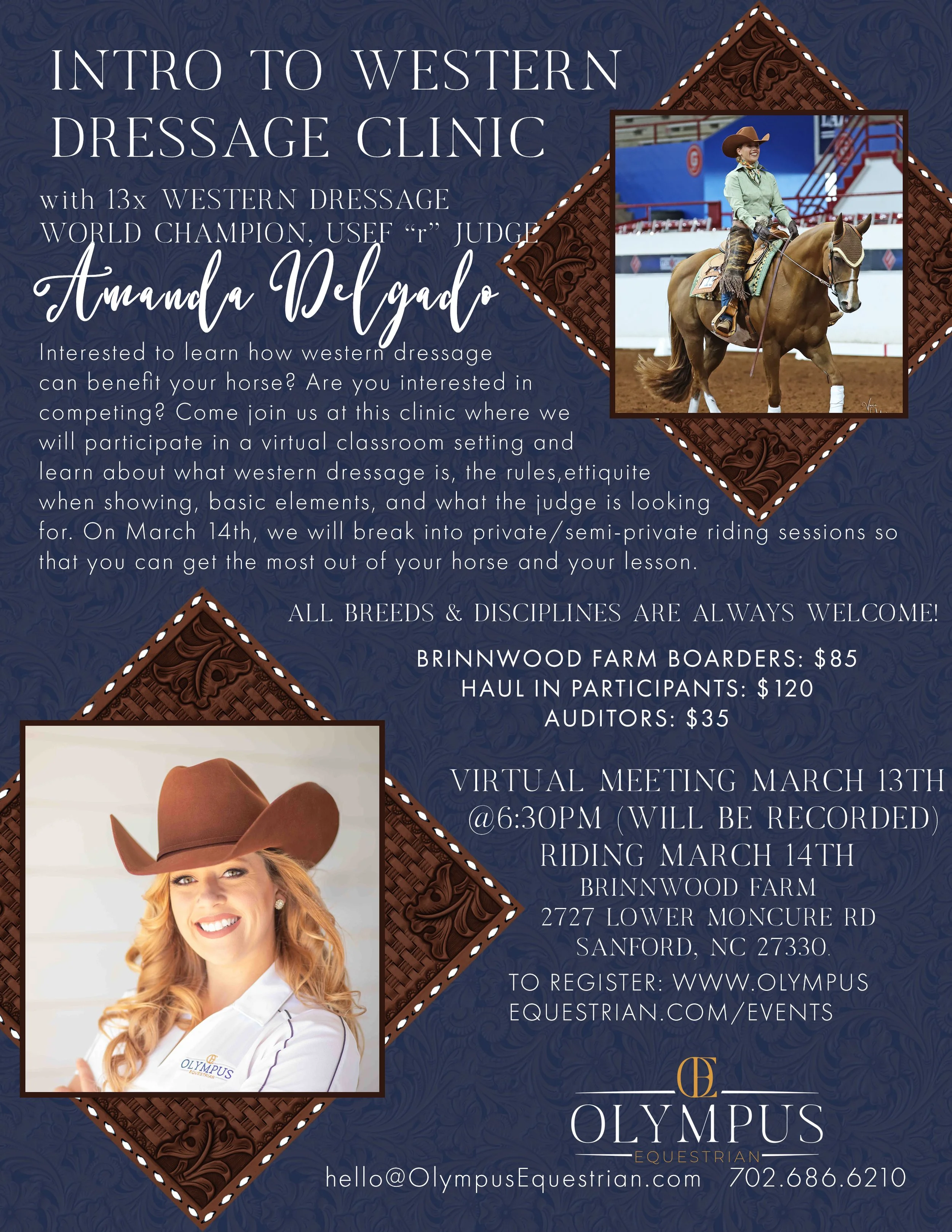 Brinnwood Farm Intro to Western Dressage Clinic 
