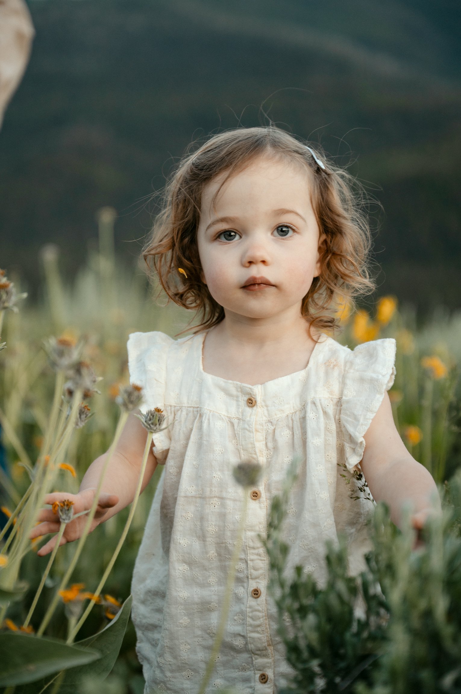 family_photographer_in_the_driggs_victor_tetonia-52.jpg